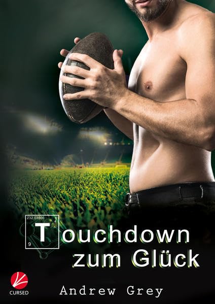 Touchdown zum Glück (Zum Glück-Serie) Contemporary literature