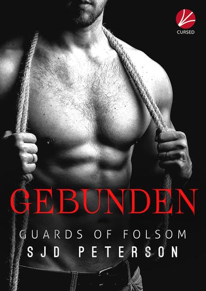 Guards of Folsom: Gebunden Contemporary literature