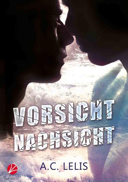Vorsicht Nachsicht Contemporary literature Books