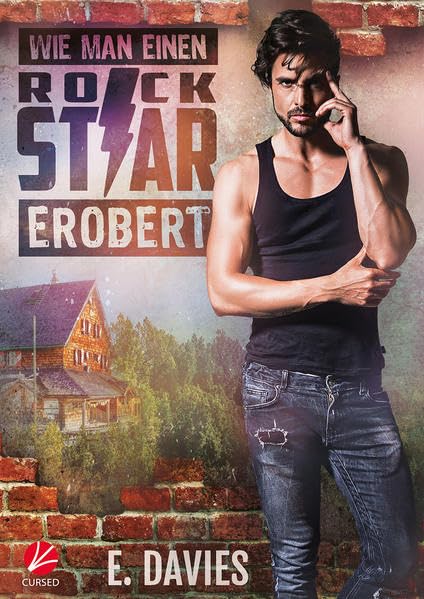 Wie man einen Rockstar erobert (Significant Brothers) Contemporary literature