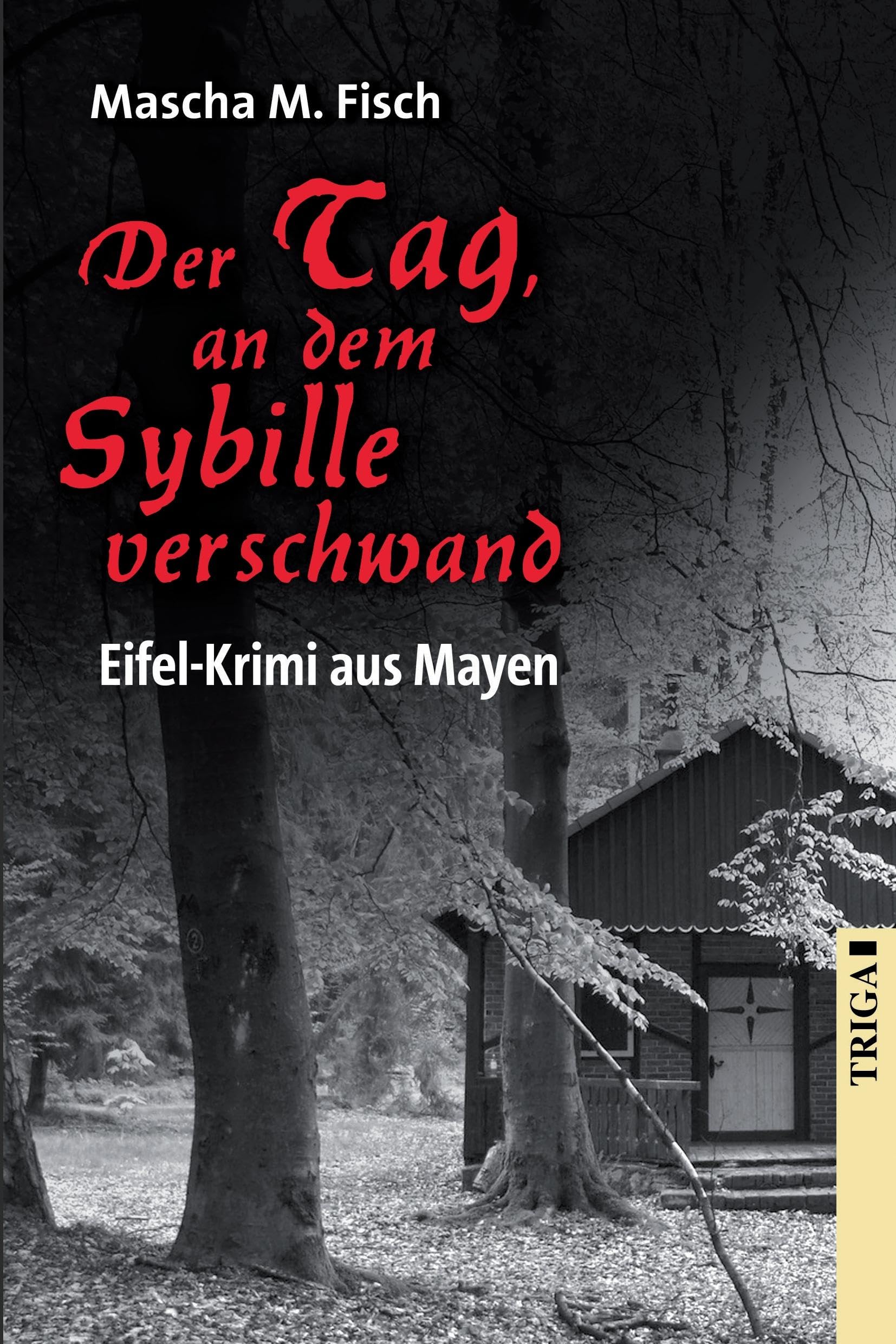 Der Tag, an dem Sybille verschwand: Eifel-Krimi aus Mayen Contemporary literature
