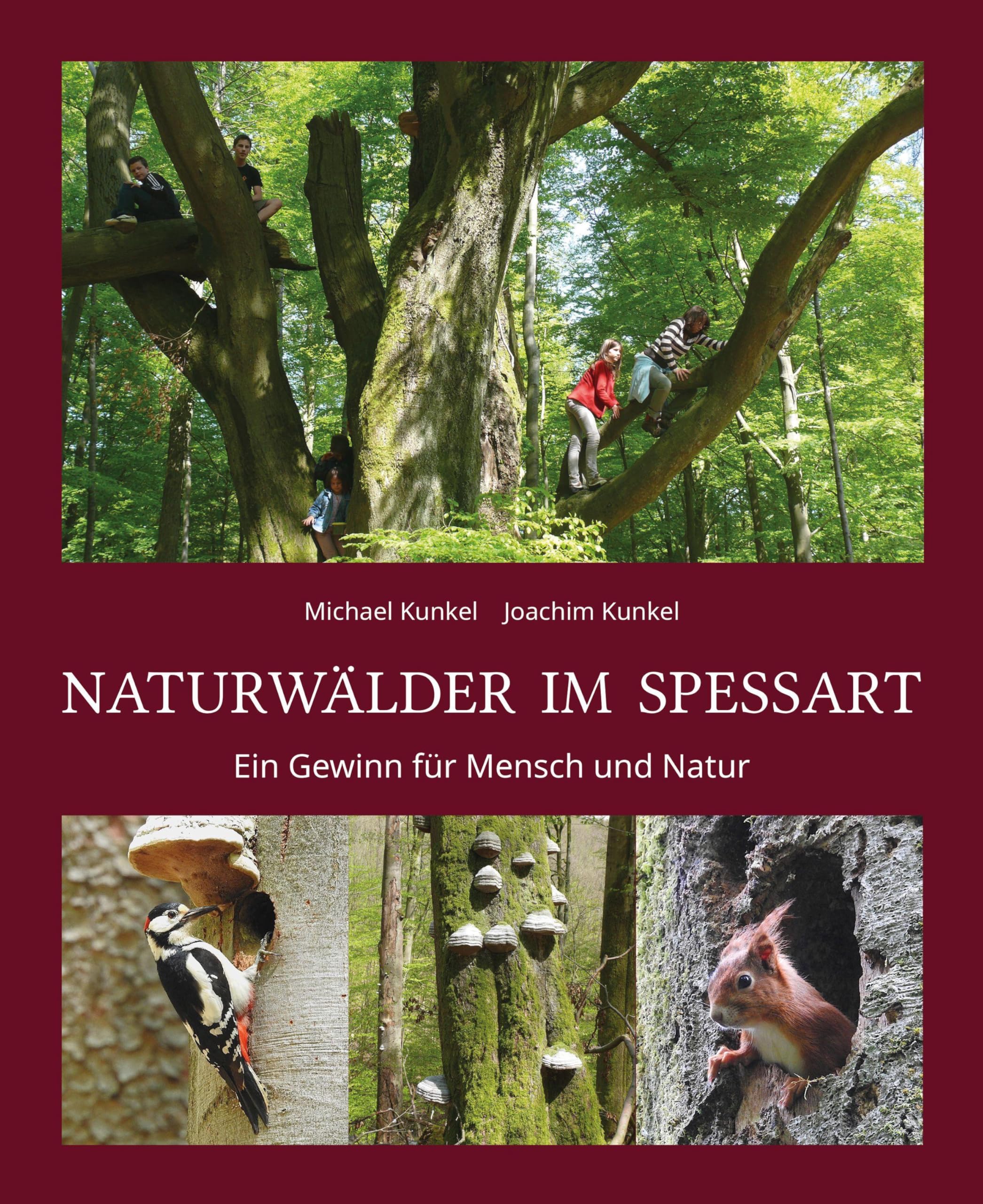 Naturwälder im Spessart Leisure, Home & Garden