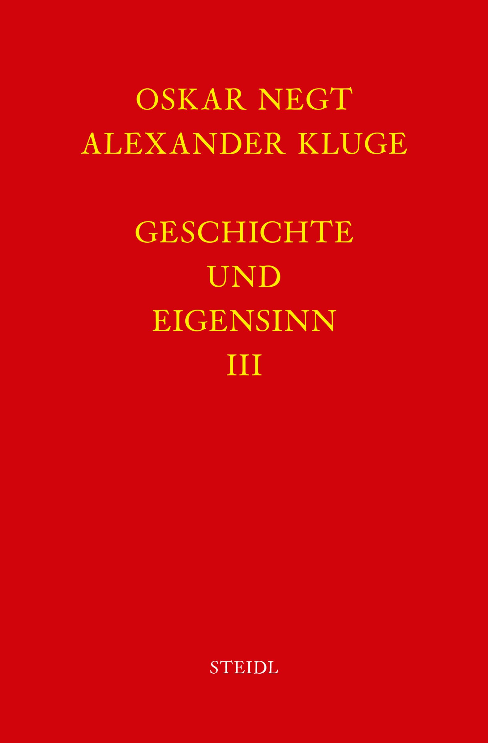 Werkausgabe Bd. 6.3 / Geschichte und Eigensinn III: Gewalt des Zusammenhangs Law