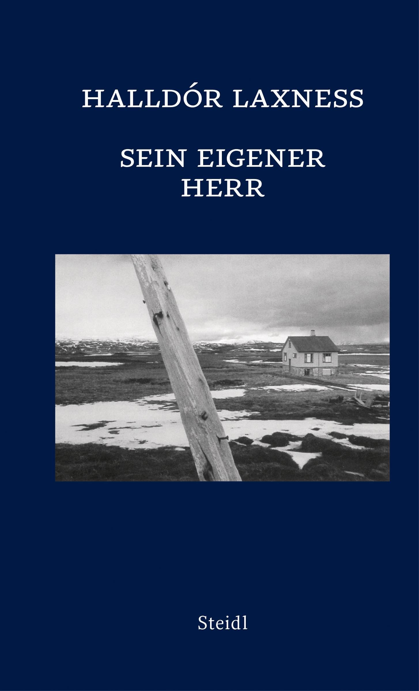 Sein eigener Herr Contemporary literature Books