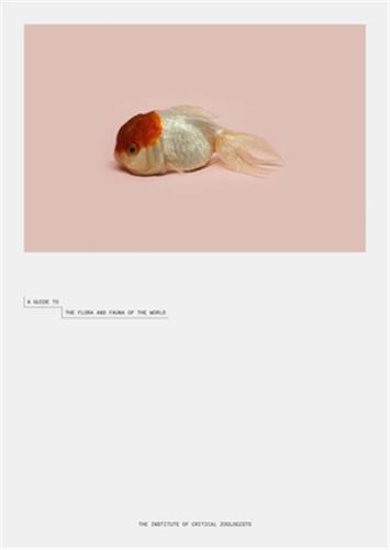 Robert Zhao Renhui A Guide to the Flora and Fauna of the World Travel