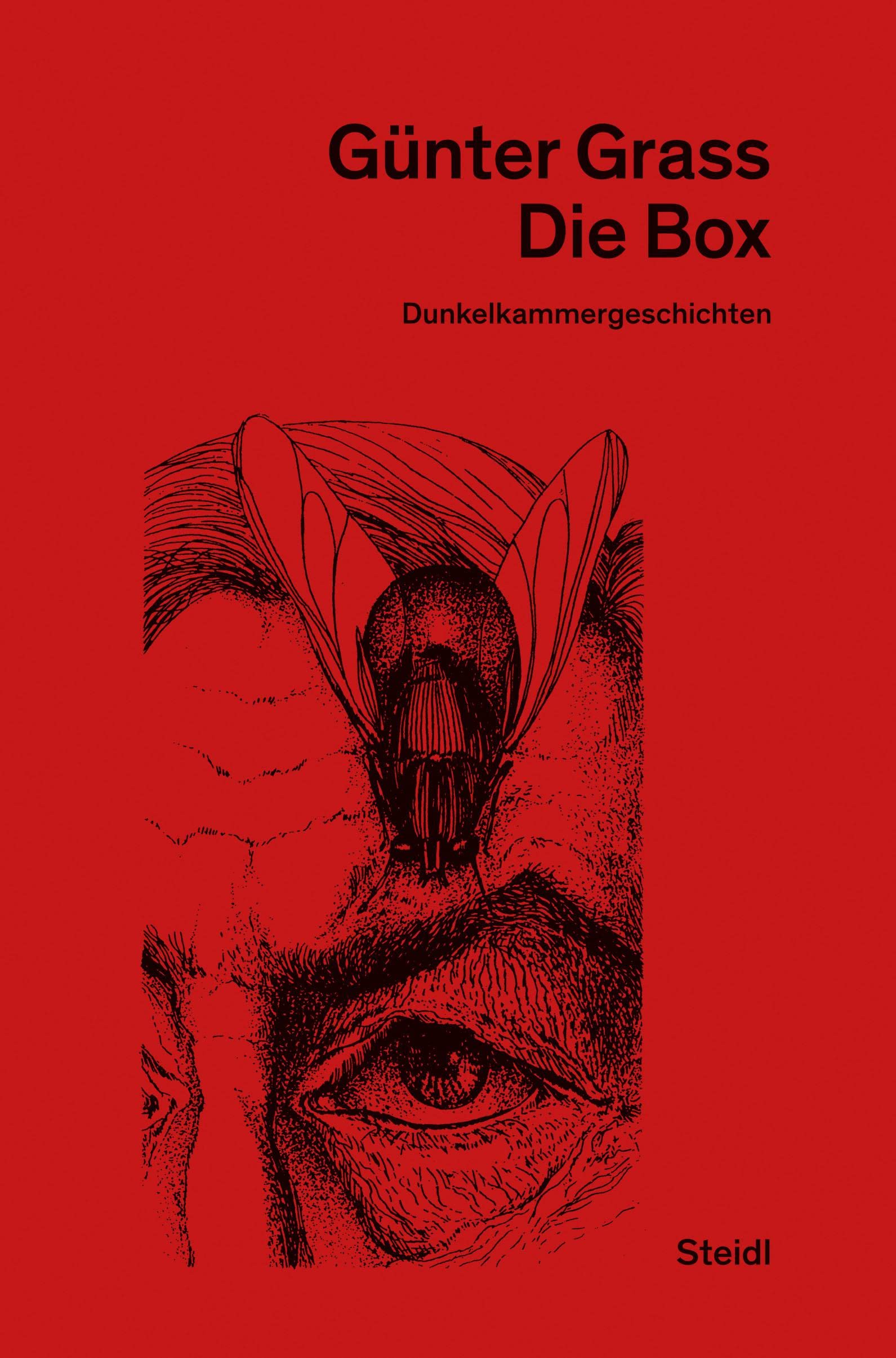 Die Box: Neue Göttinger Ausgabe Band 18 Contemporary literature