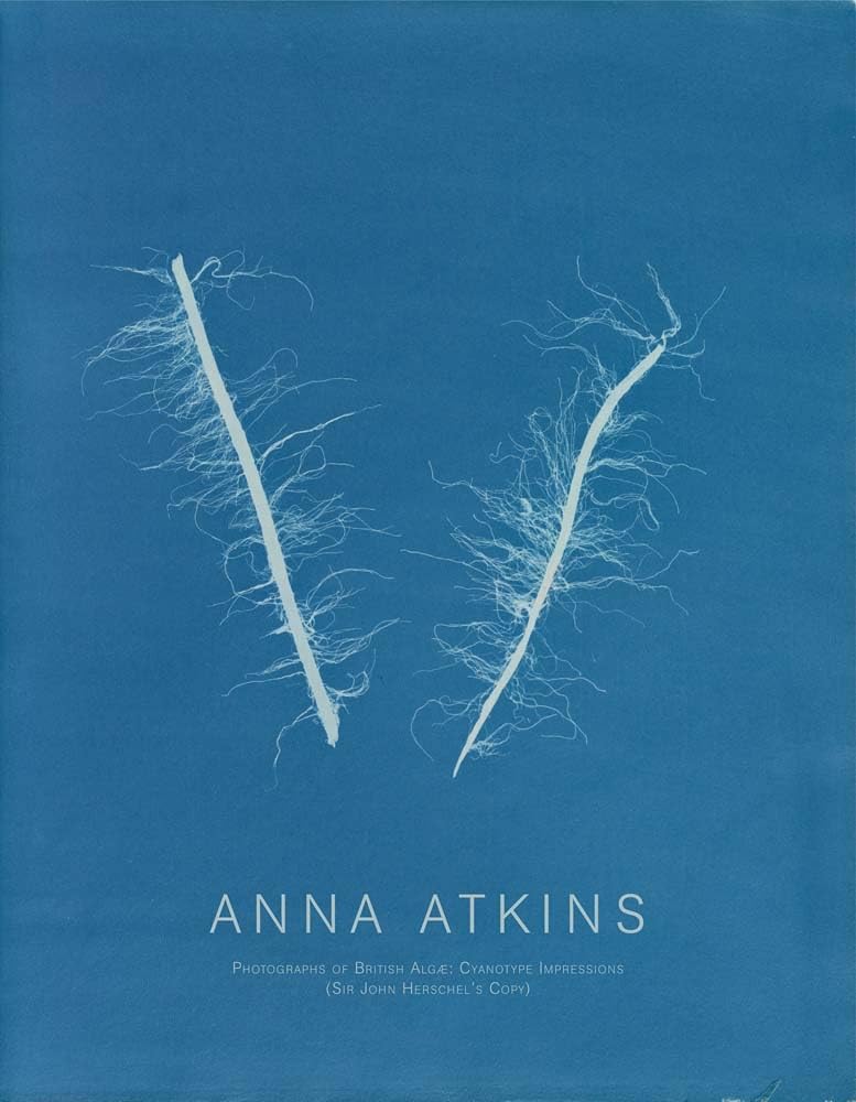 Photographs of British Algæ: Cyanotype Impressions (Sir John Herschel’s Copy) Arts & Music