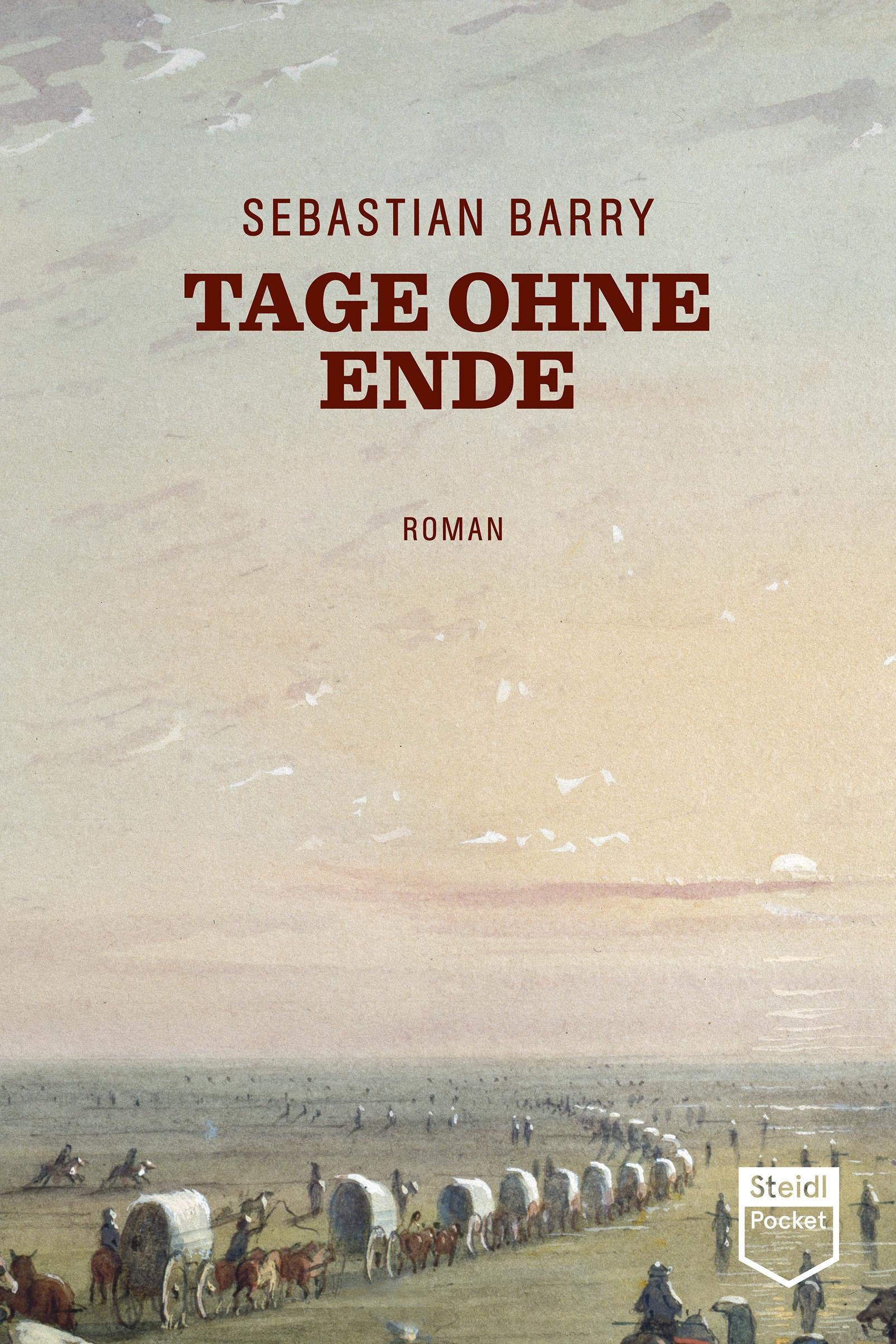 Tage ohne Ende (Steidl Pocket) Contemporary literature