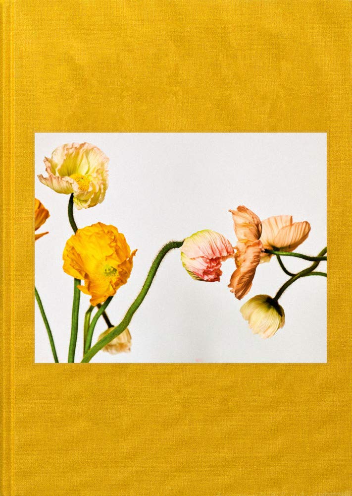 Garden of Beauty: Combining Worlds with Flowers Film, Art & Culture