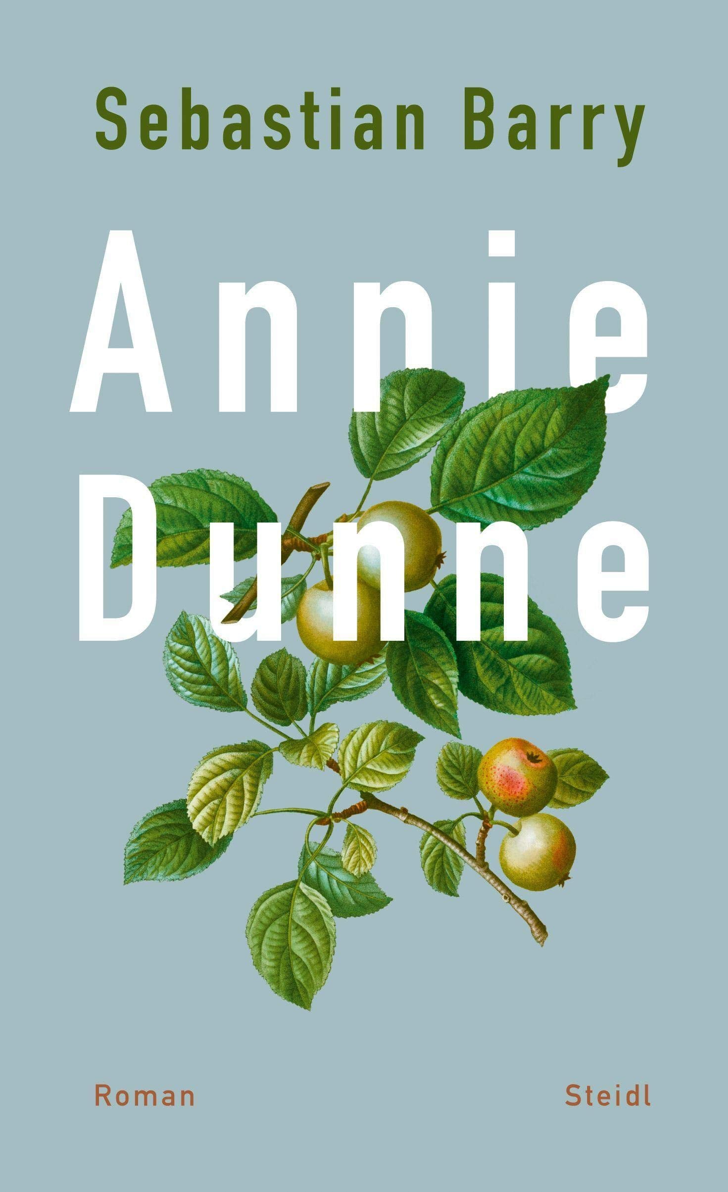Annie Dunne Contemporary literature Books