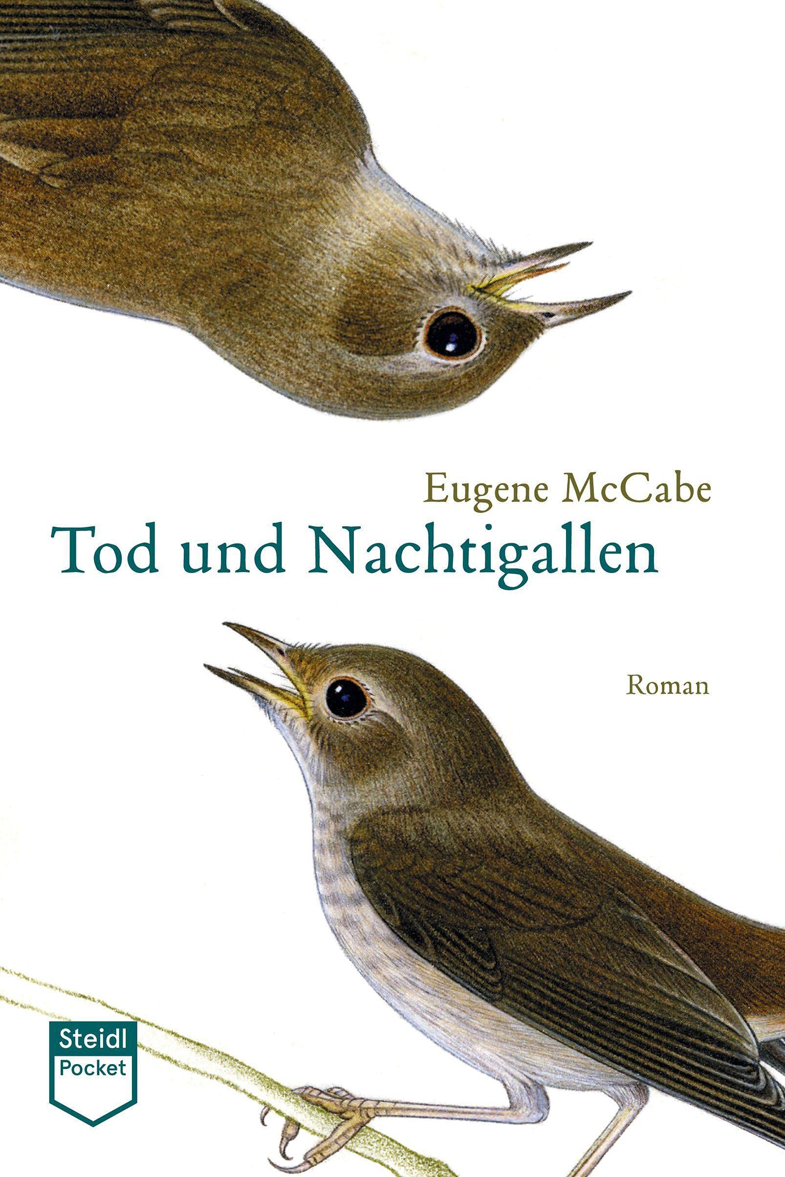 Tod und Nachtigallen (Steidl Pocket) Contemporary literature