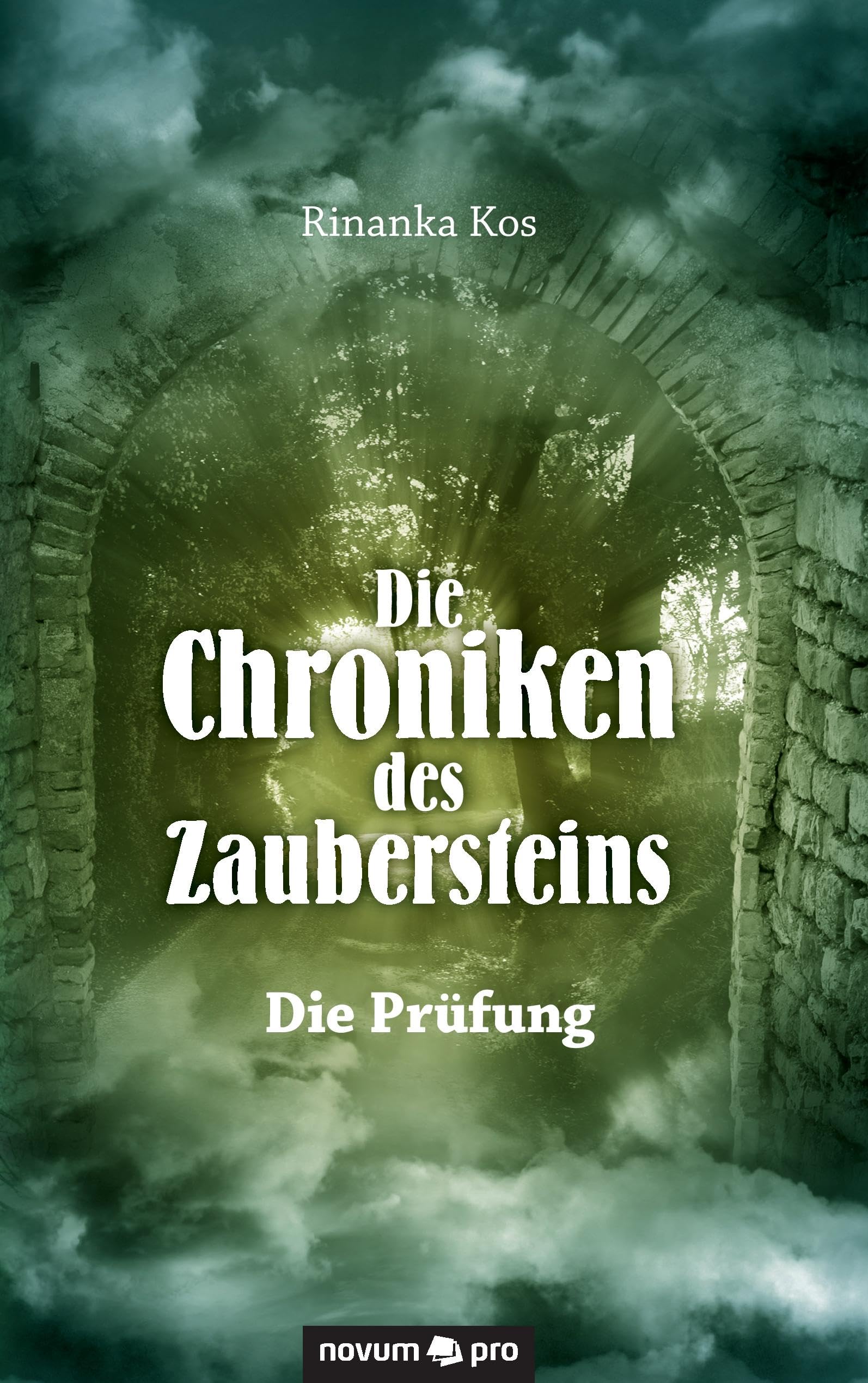 Die Chroniken des Zaubersteins: Die Prüfung Contemporary literature