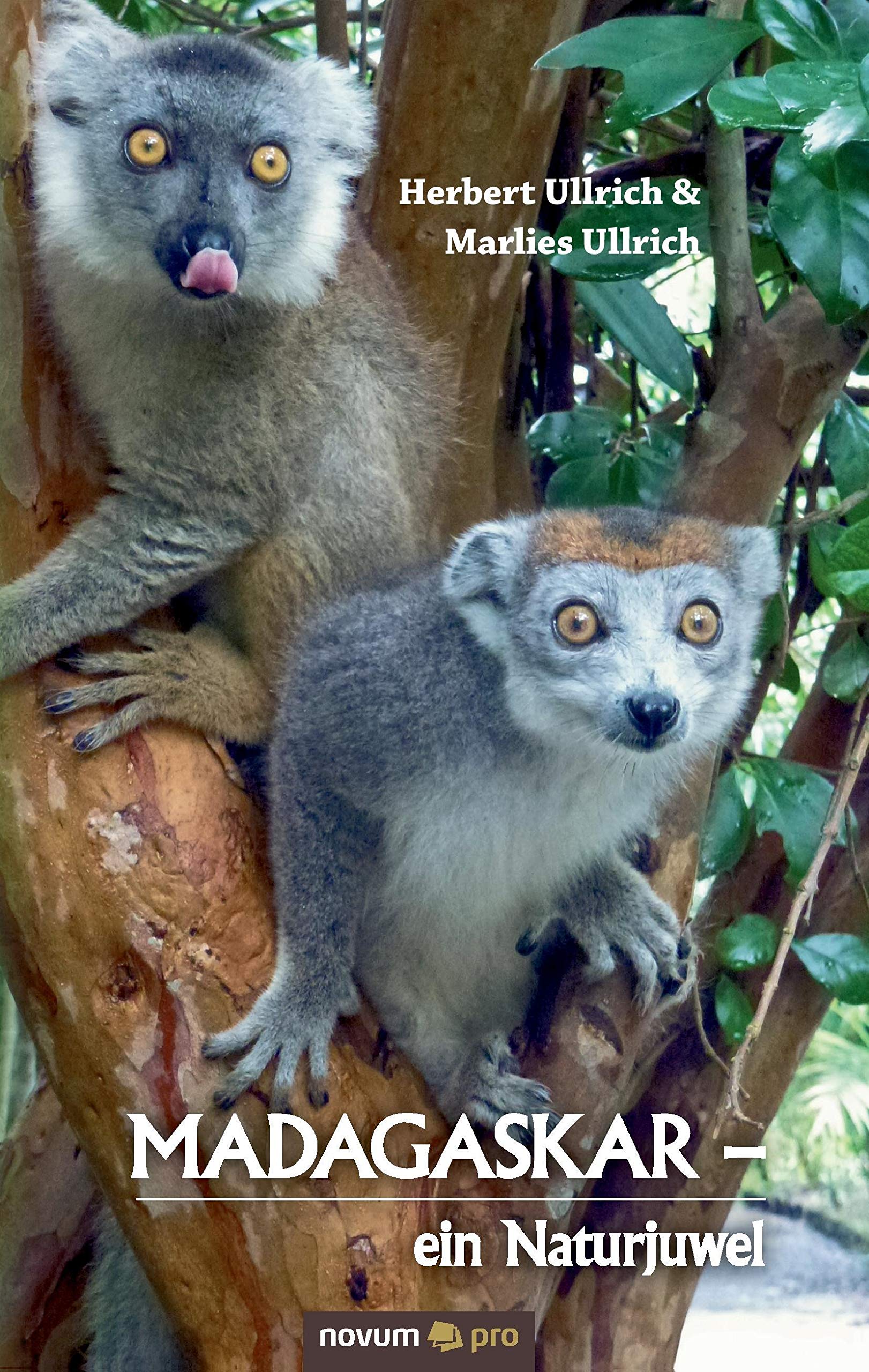 MADAGASKAR  -  ein Naturjuwel Contemporary literature