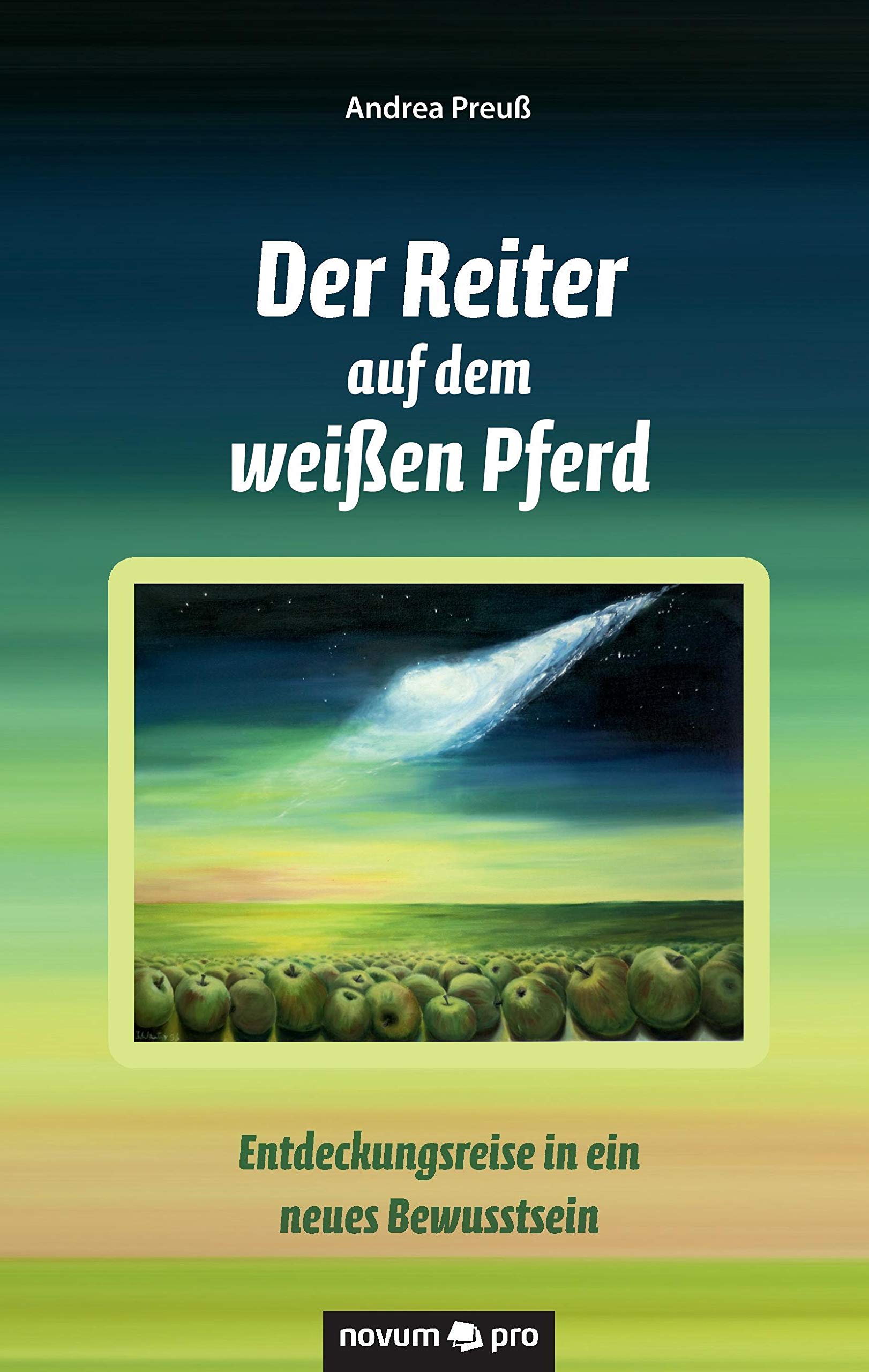 Der Reiter auf dem weißen Pferd: Entdeckungsreise in ein neues Bewusstsein Contemporary literature