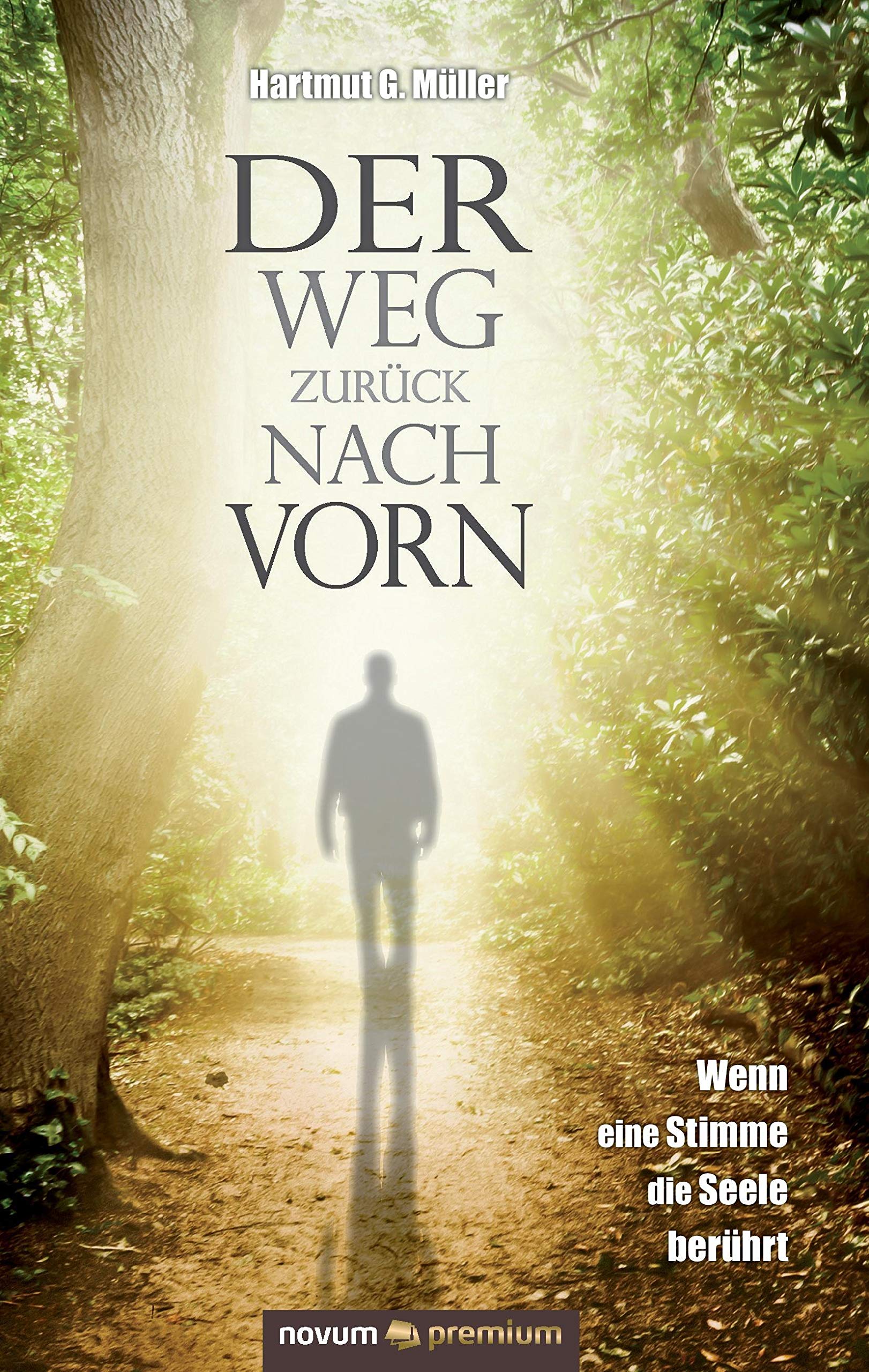 Der Weg zurück nach vorn: Wenn eine Stimme die Seele berührt Contemporary literature