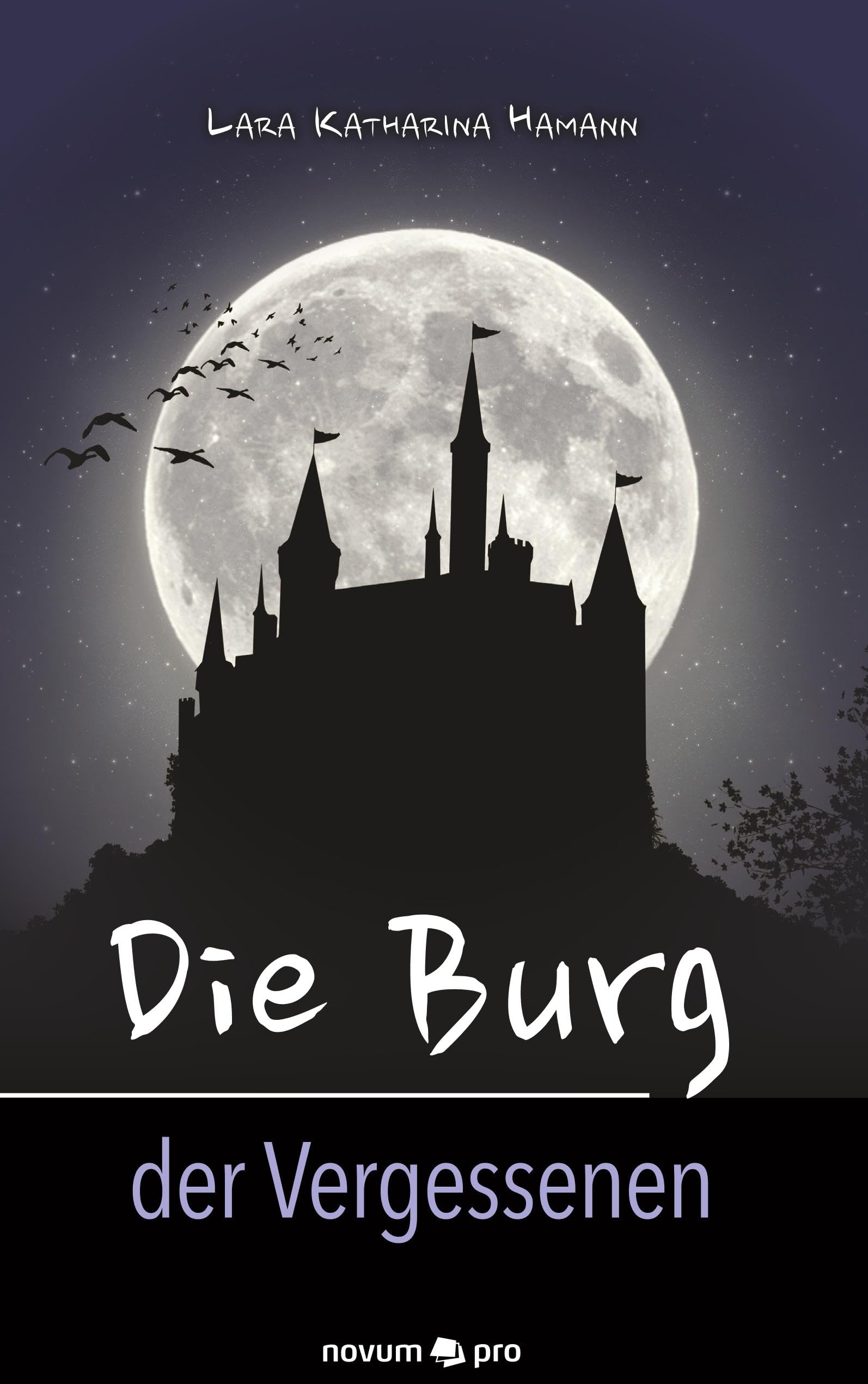 Die Burg der Vergessenen Contemporary literature