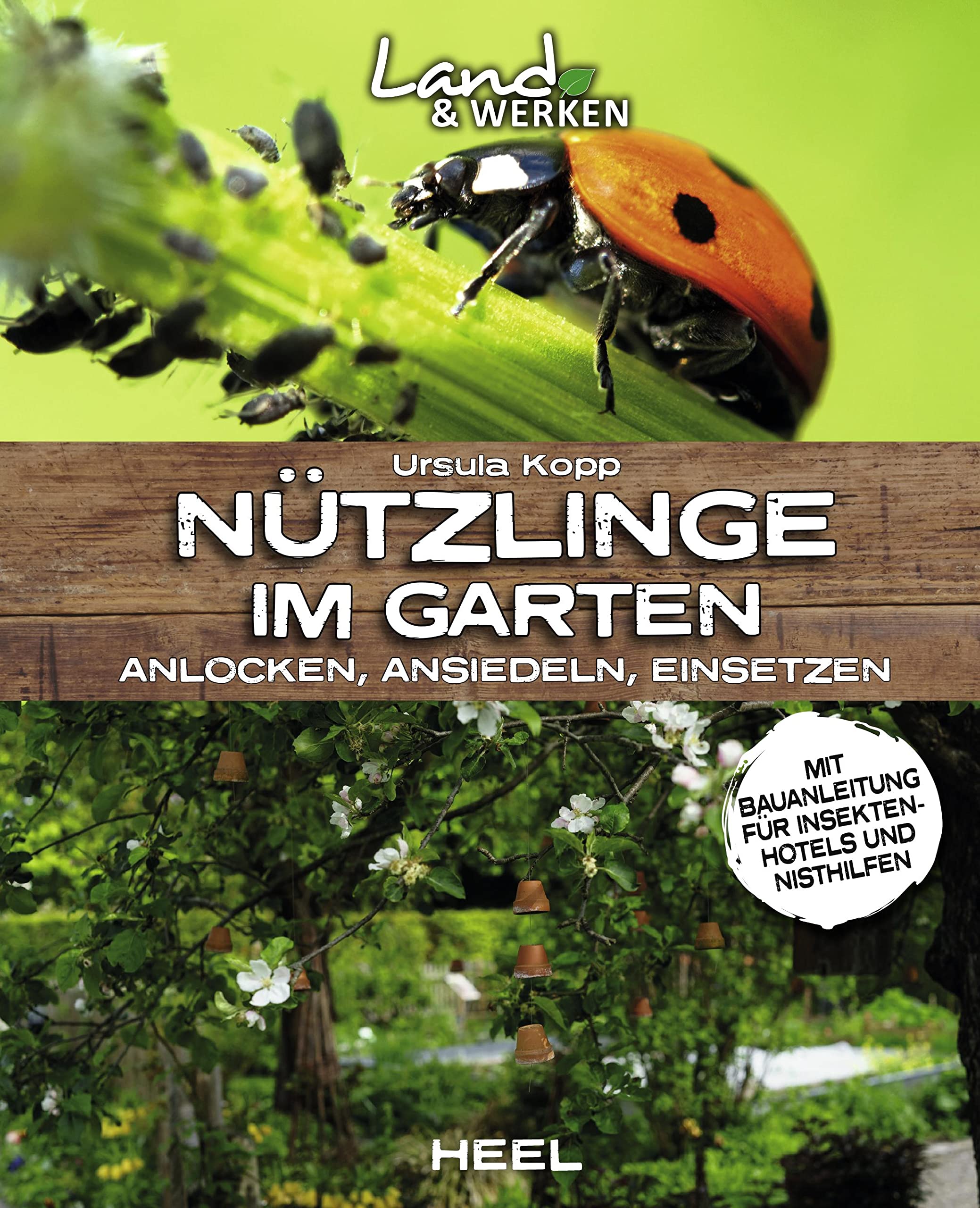 Nützlinge im Garten - anlocken, ansiedeln, einsetzen Garden & Plants