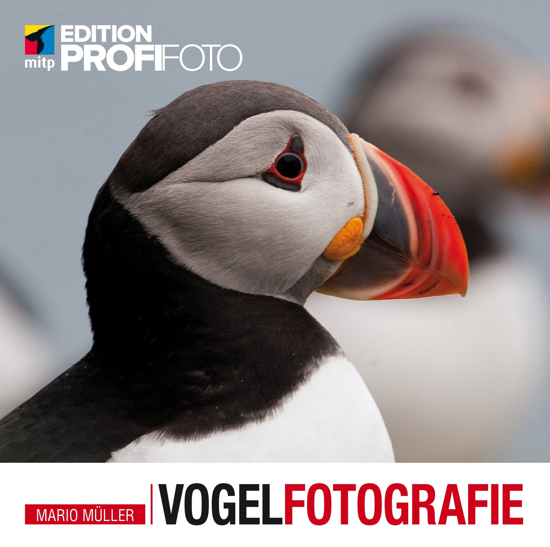Vogelfotografie Photography Books