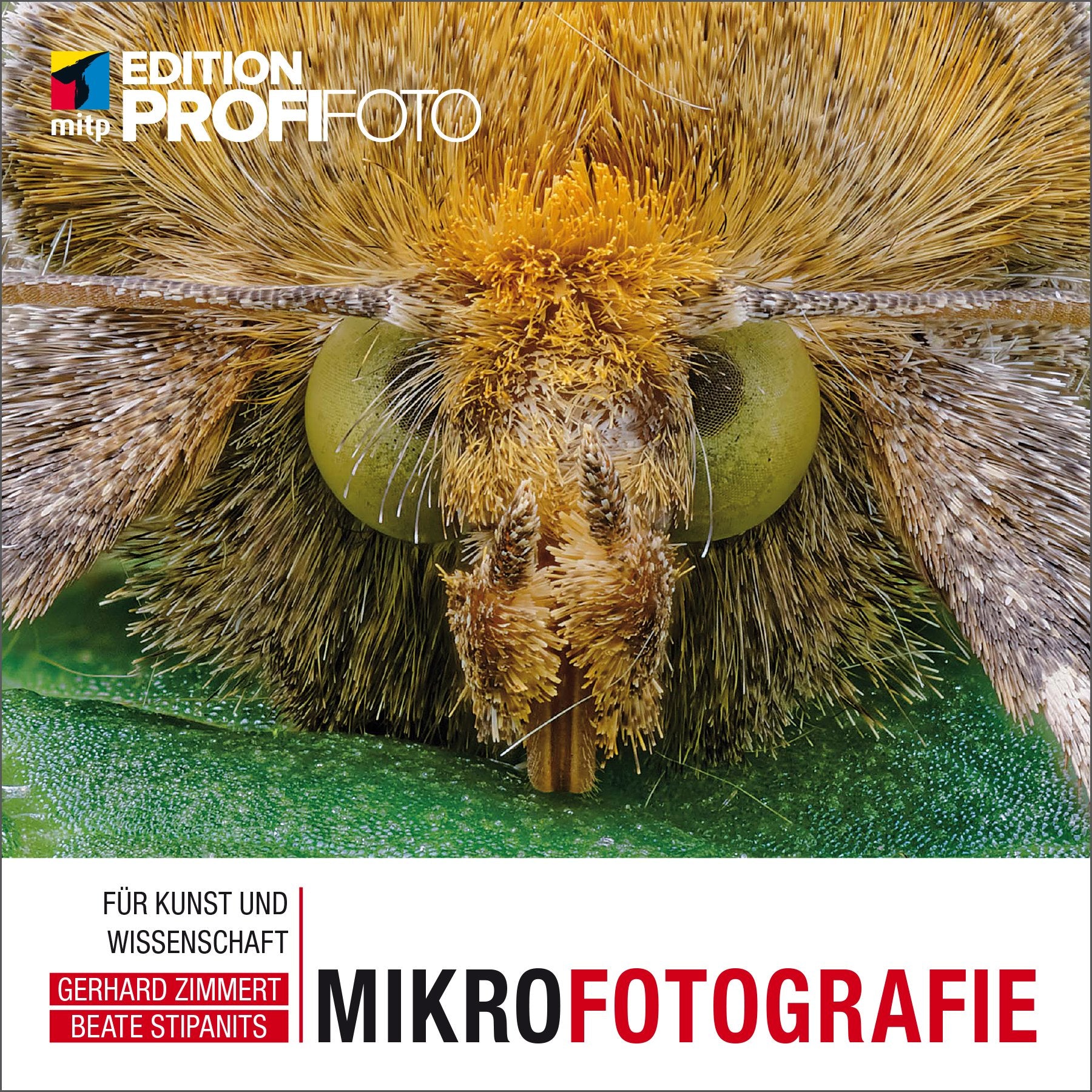 Mikrofotografie Photography