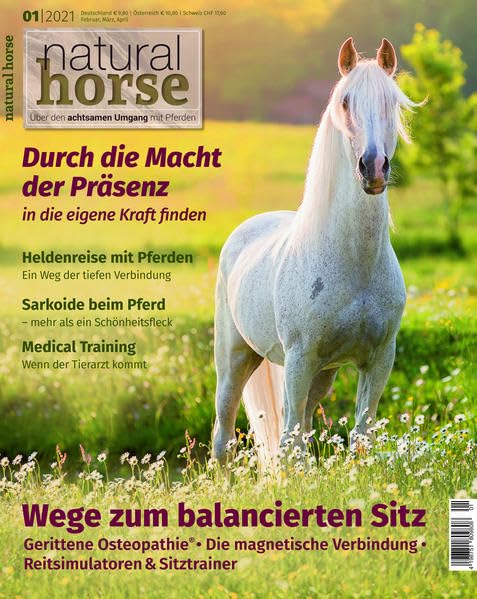 Natural Horse 33 Pets