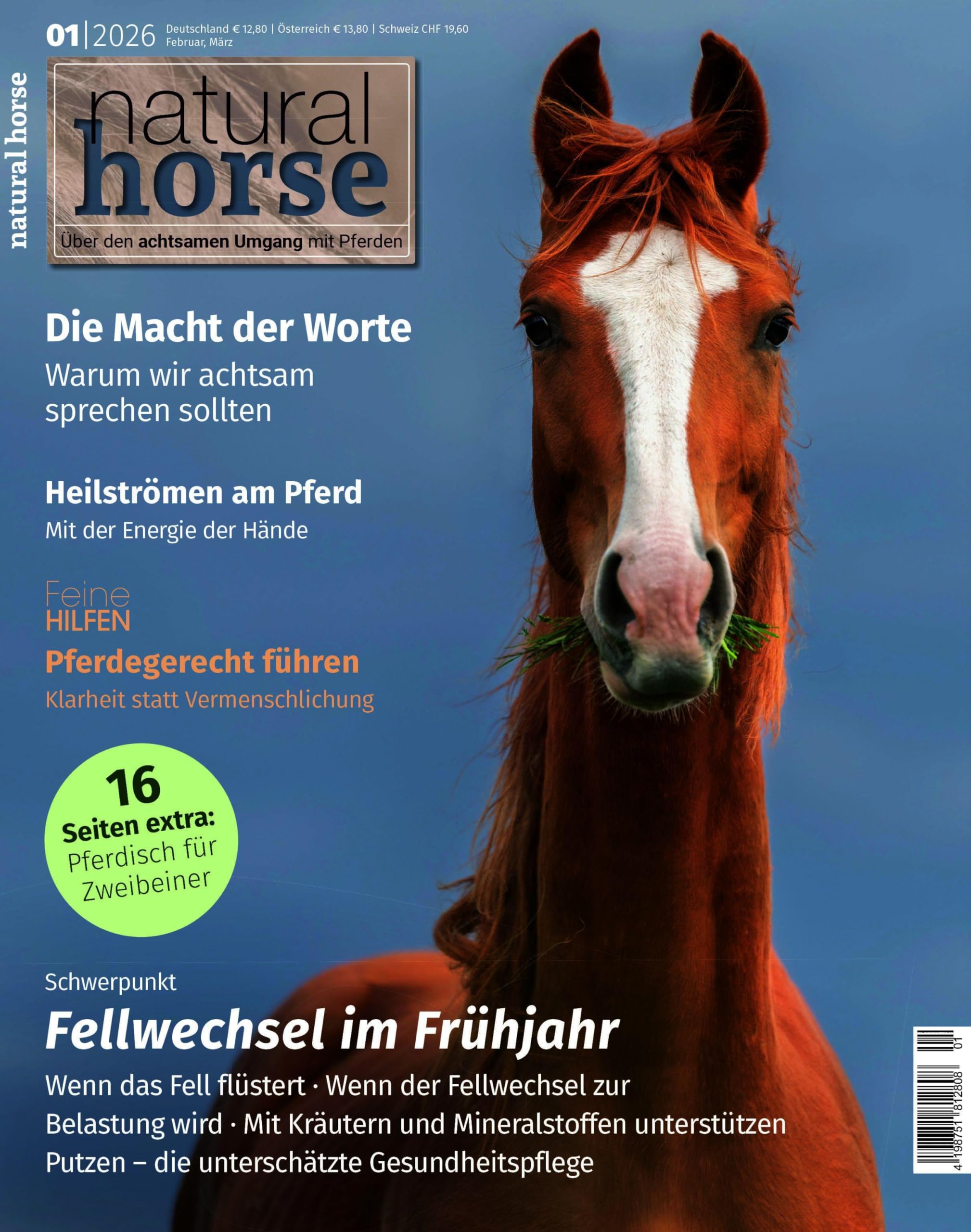 Natural Horse 61 - Fellwechsel im Frühjahr Pets