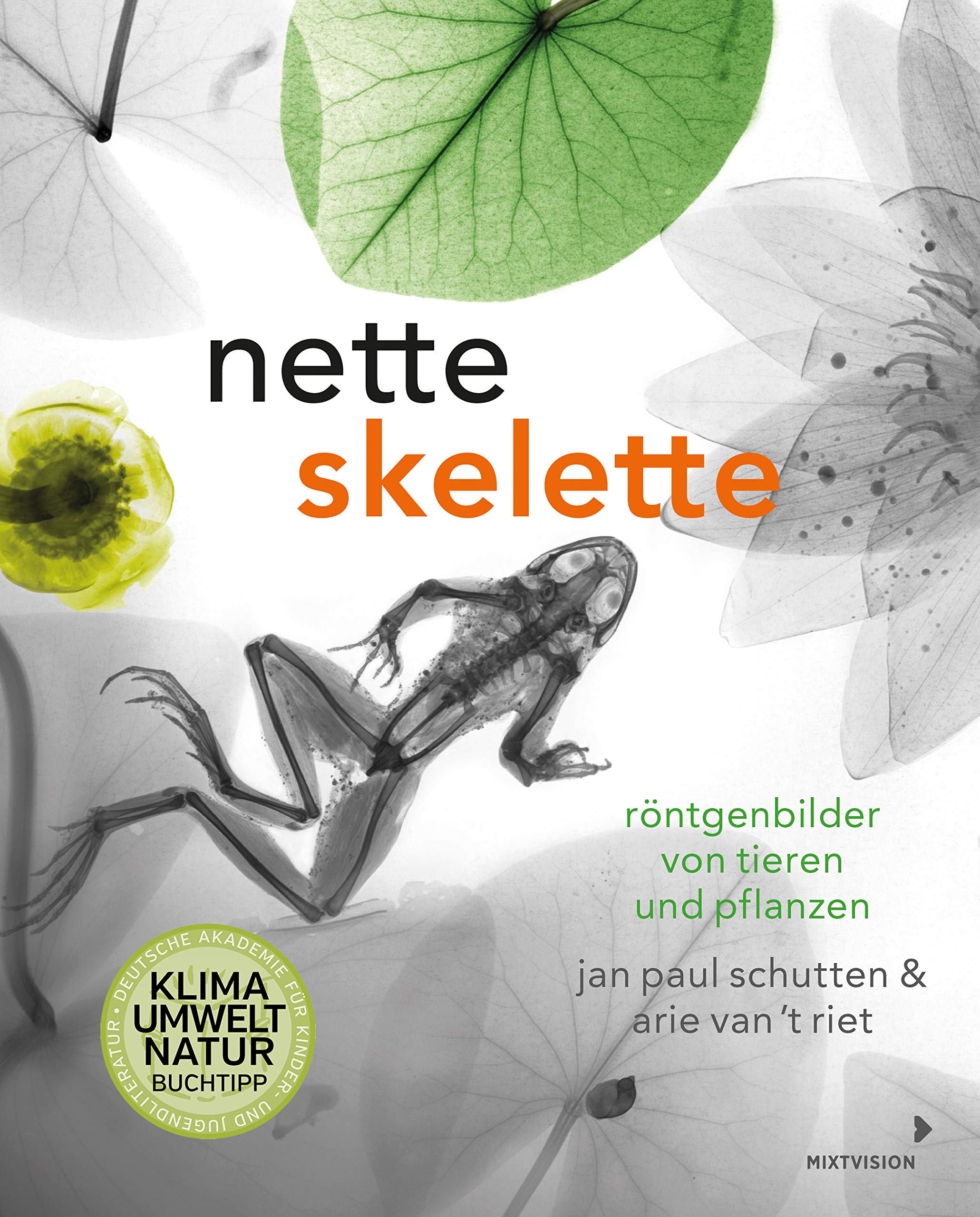 Nette Skelette Medicine