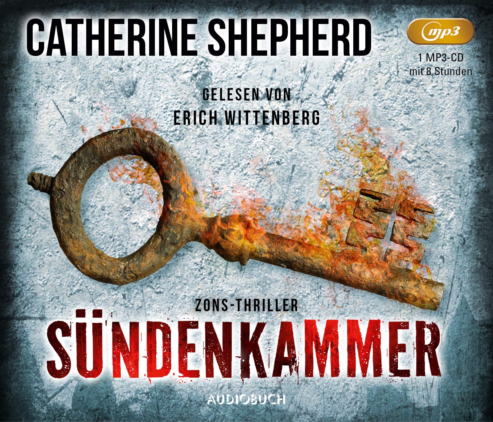 Sündenkammer: Zons-Thriller Contemporary literature