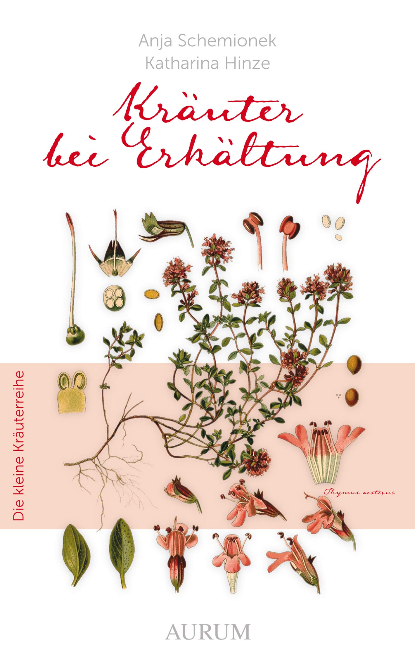 Kräuter bei Erkältung Health, Nutrition & Fitness