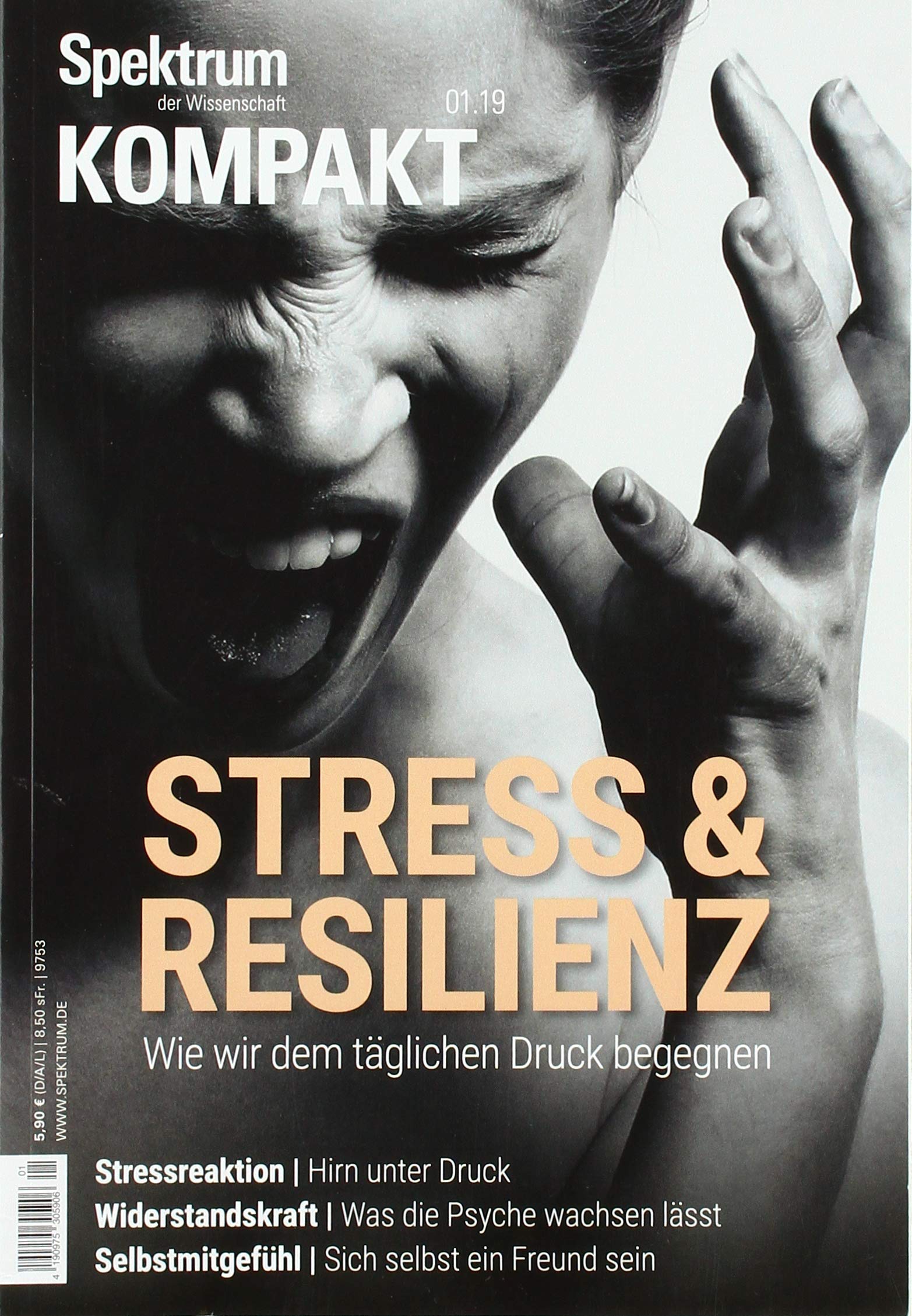 Stress & Resilienz: Wie wir dem täglichen Druck begegnen (Spektrum Kompakt) Religion & Esotericism