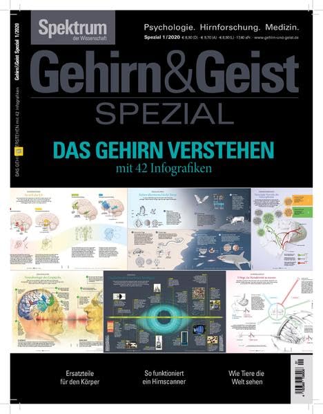GehirnGeist Spezial - Das Gehirn verstehen book