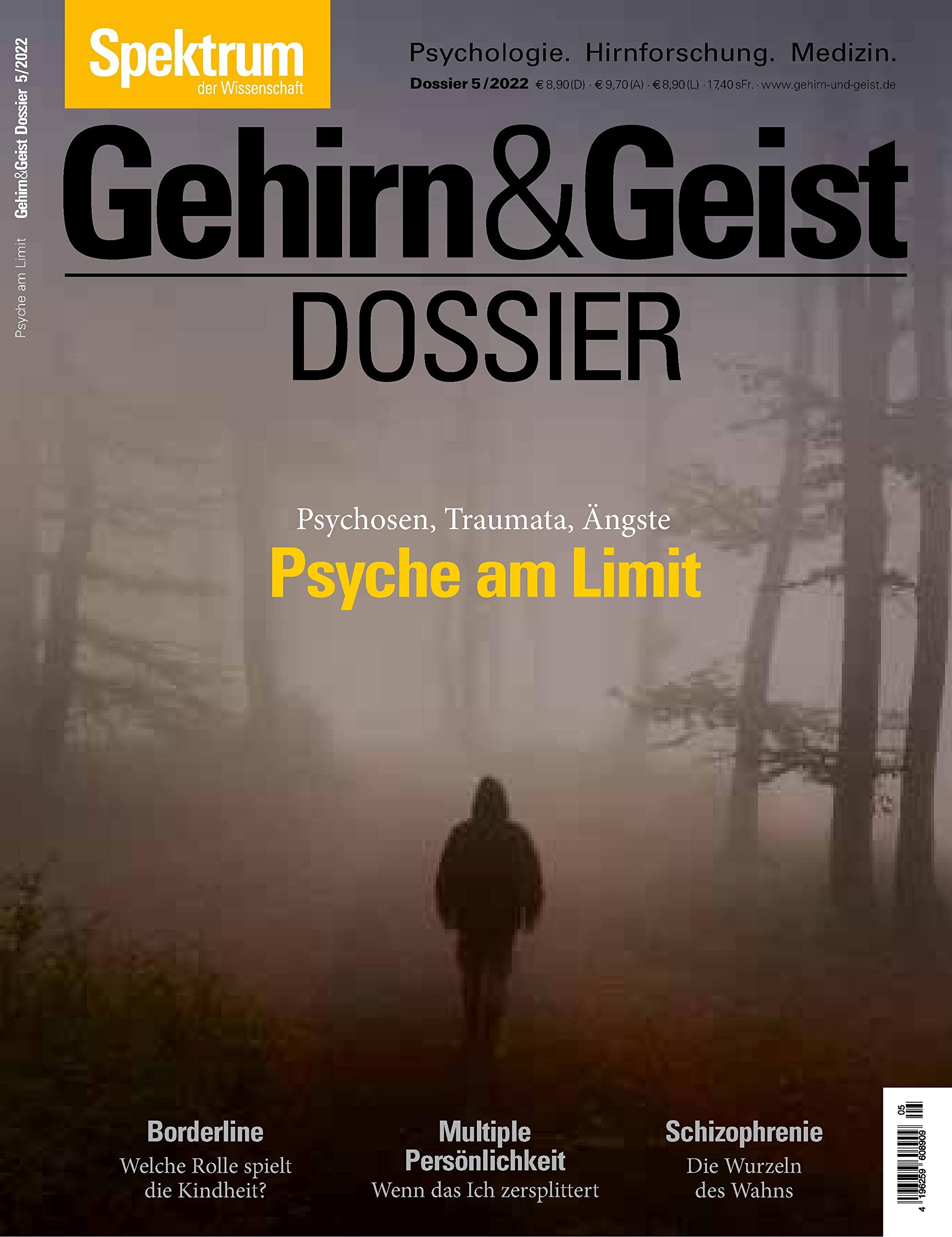 Gehirn&Geist Dossier - Psyche am Limit: Ängste, Psychosen, Traumata Medicine