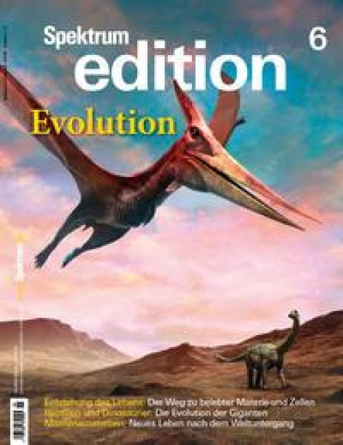 Product Image: Spektrum edition Nr. 6 - Evolution