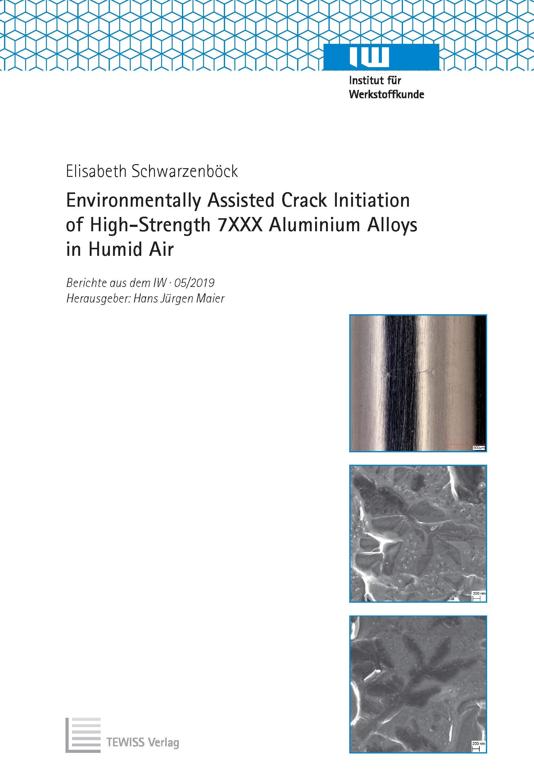 Environmentally Assisted Crack Initiation of High-Strength 7XXX Aluminium Alloys in Humid Air (Berichte aus dem IW) Business & Technology