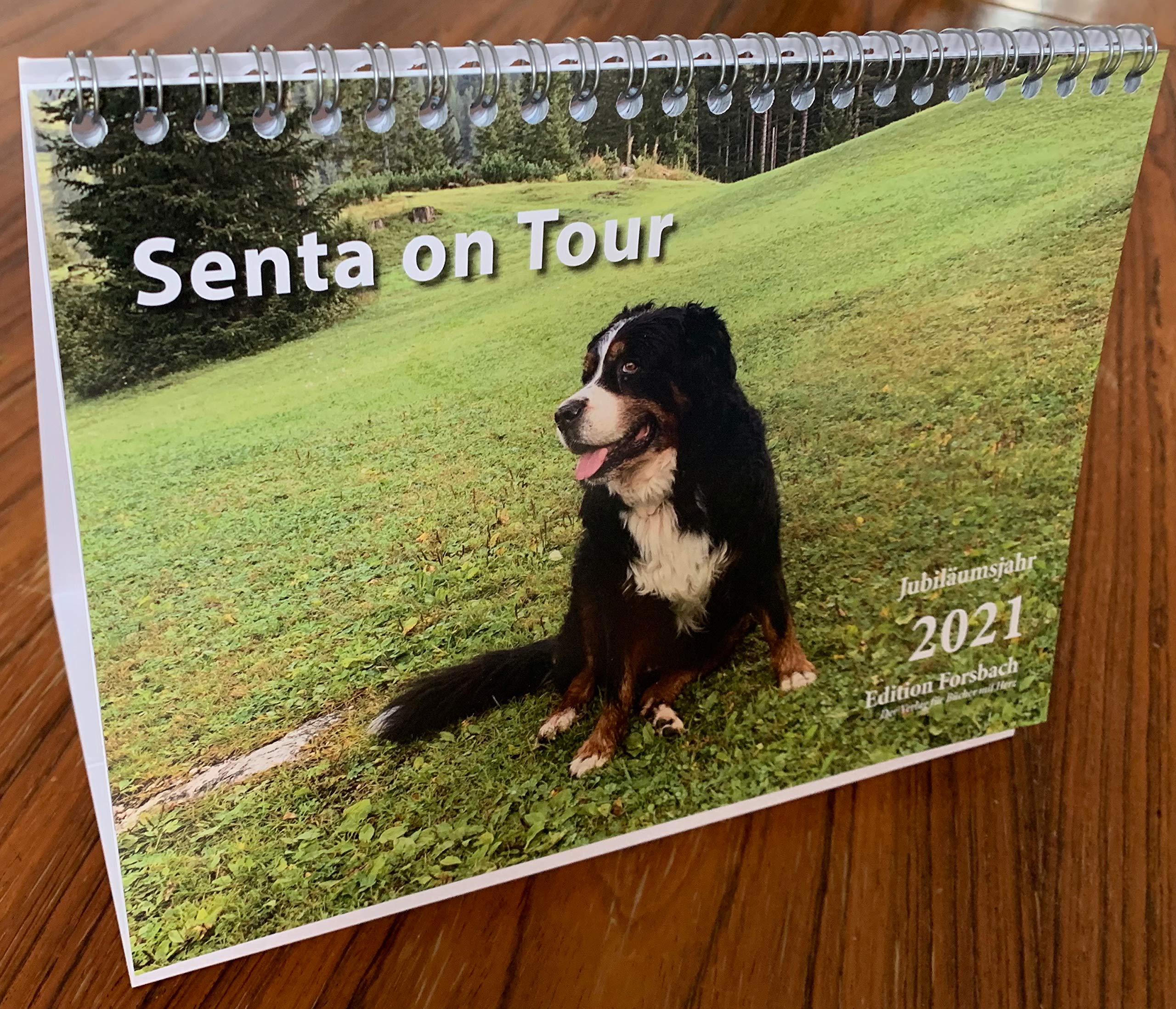 Senta on Tour 2021: Tischkalender DIN A5 Living & Furnishing