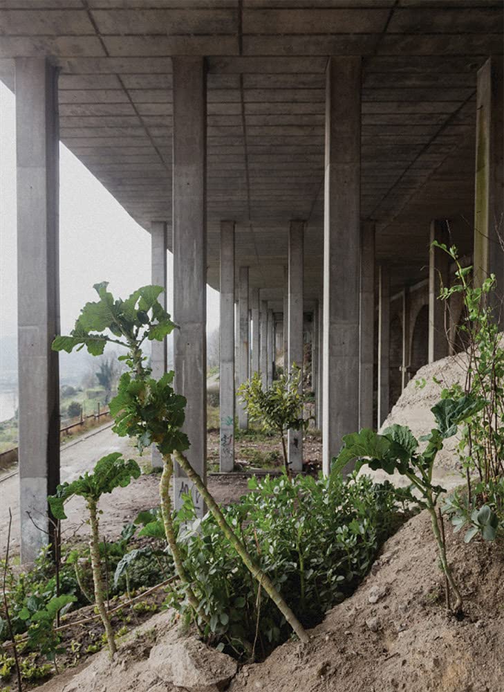 Notes from the Underdog / Anotações sobre o Abaixo de Cão: Agriculture for subsistence in Porto / A agricultura de subsistência do Porto Architecture
