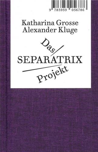 Alexander Kluge/Katharina Grosse Das SEPARATRIX Project Film, Art & Culture