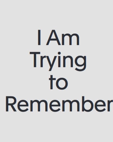 Christoph Gnädig, Anne König: I Am Trying to Remember: Eine Recherche zu Jonas Mekas Film, Art & Culture