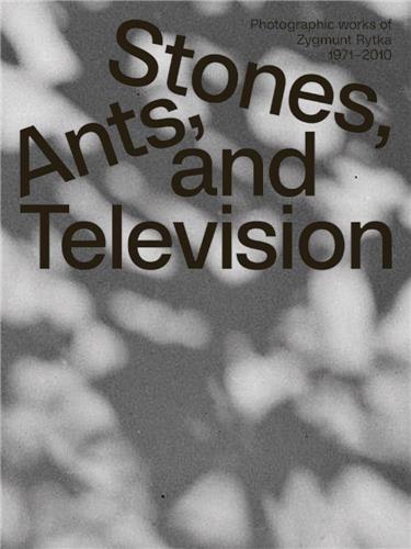 Zygmunt Rytka Stones Ants and Television Arts & Music