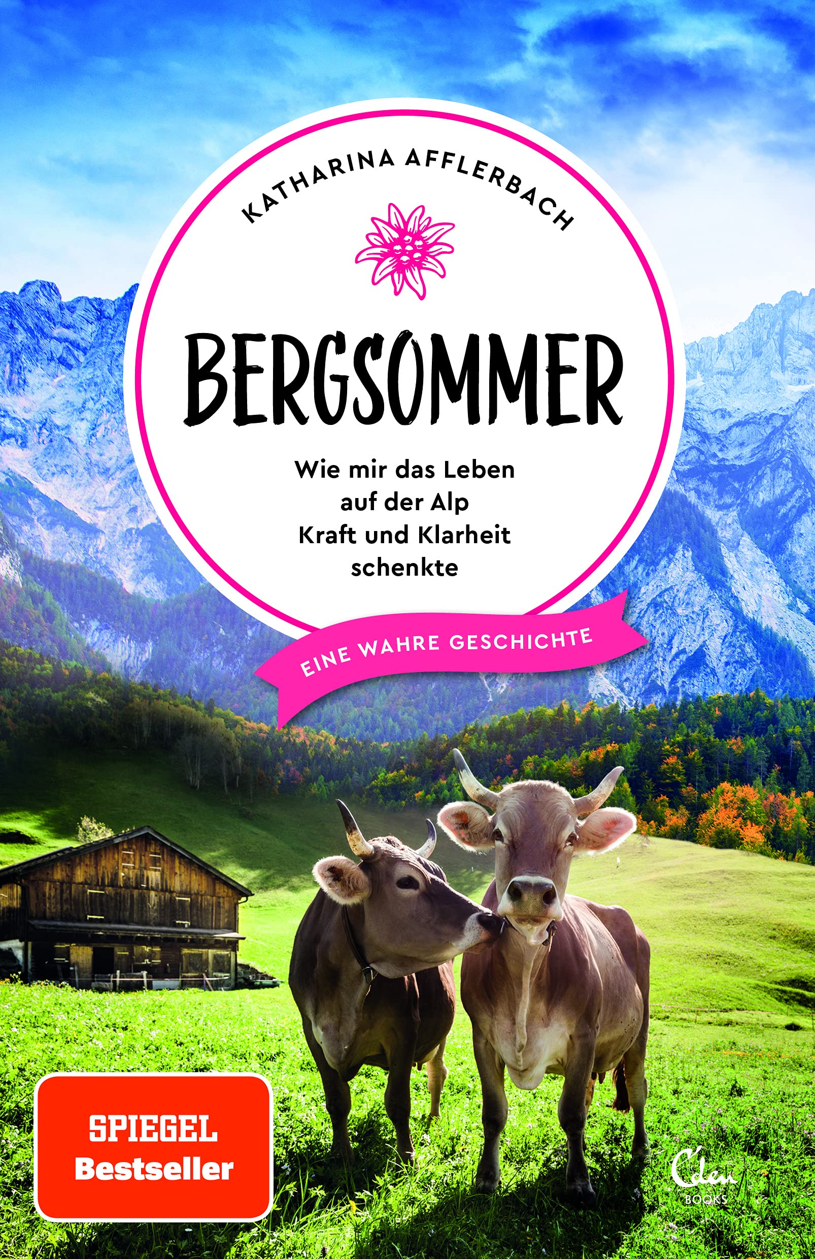 Bergsommer Art & Literature Books