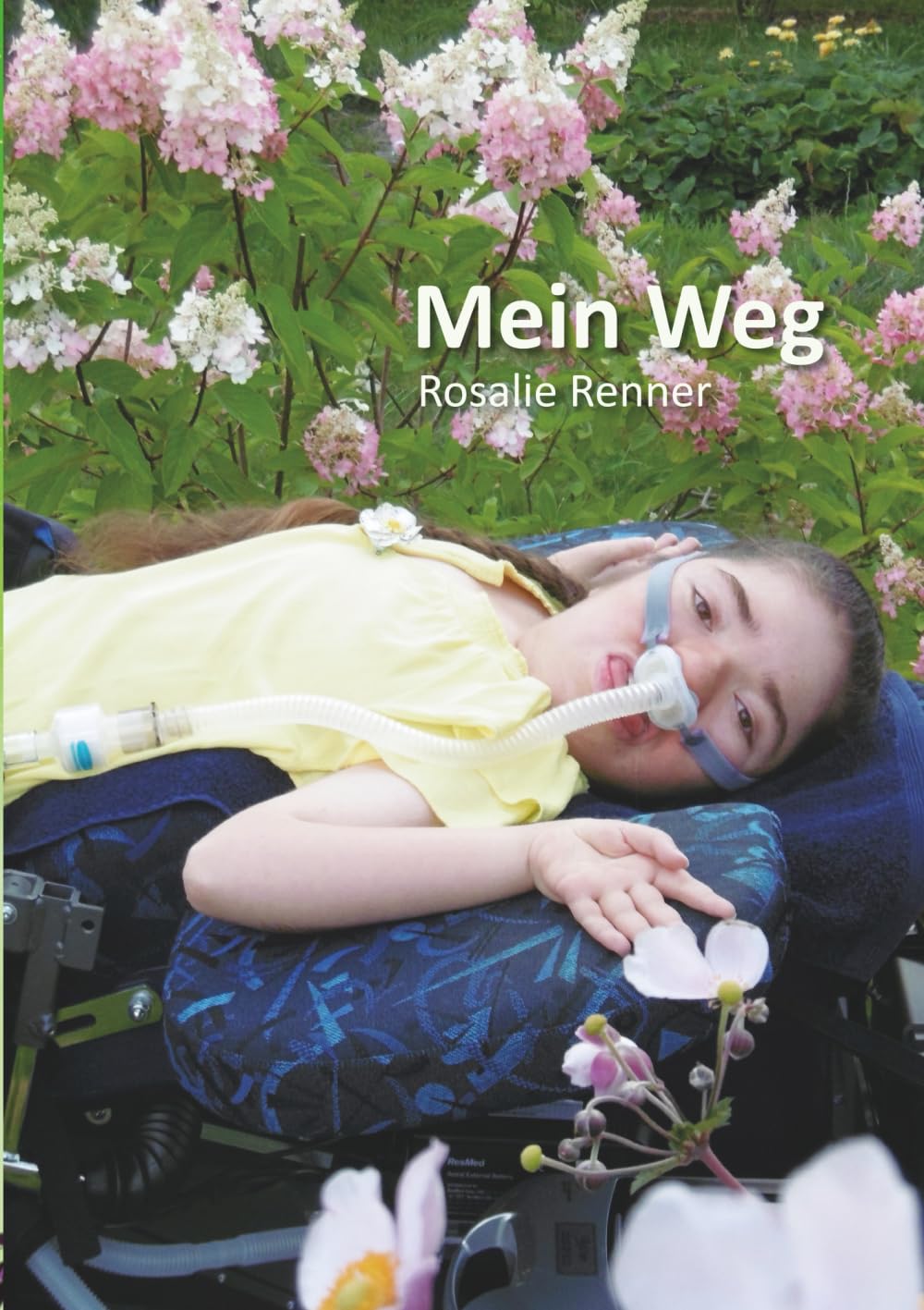 Product Image: Mein Weg
