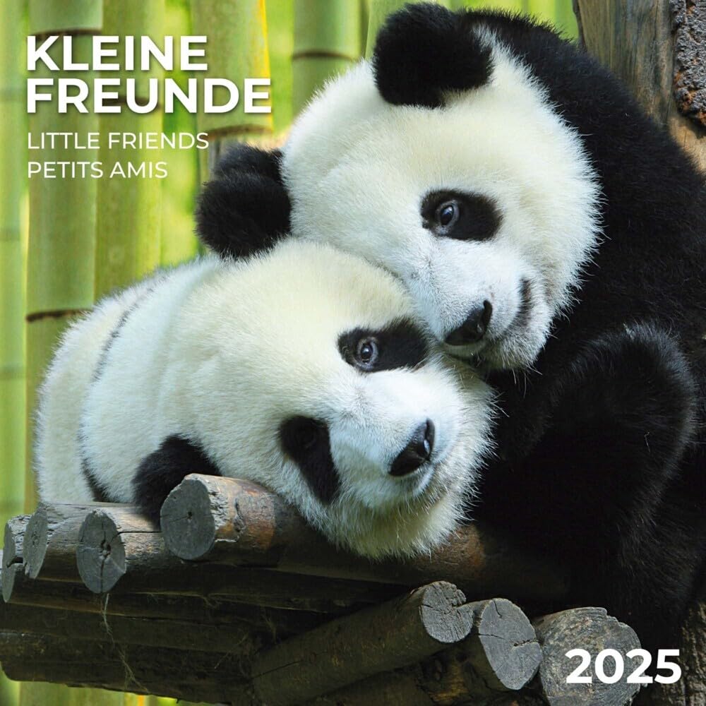Little Friends/Kleine Freunde 2025: Kalender 2025 book