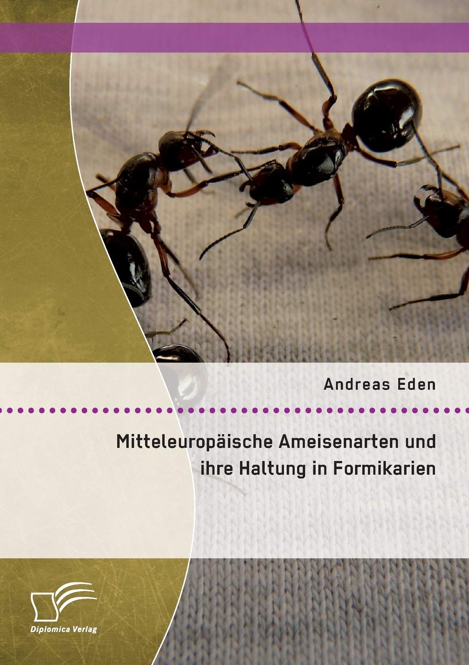 Mitteleuropäische Ameisenarten und ihre Haltung in Formikarien Natural Sciences