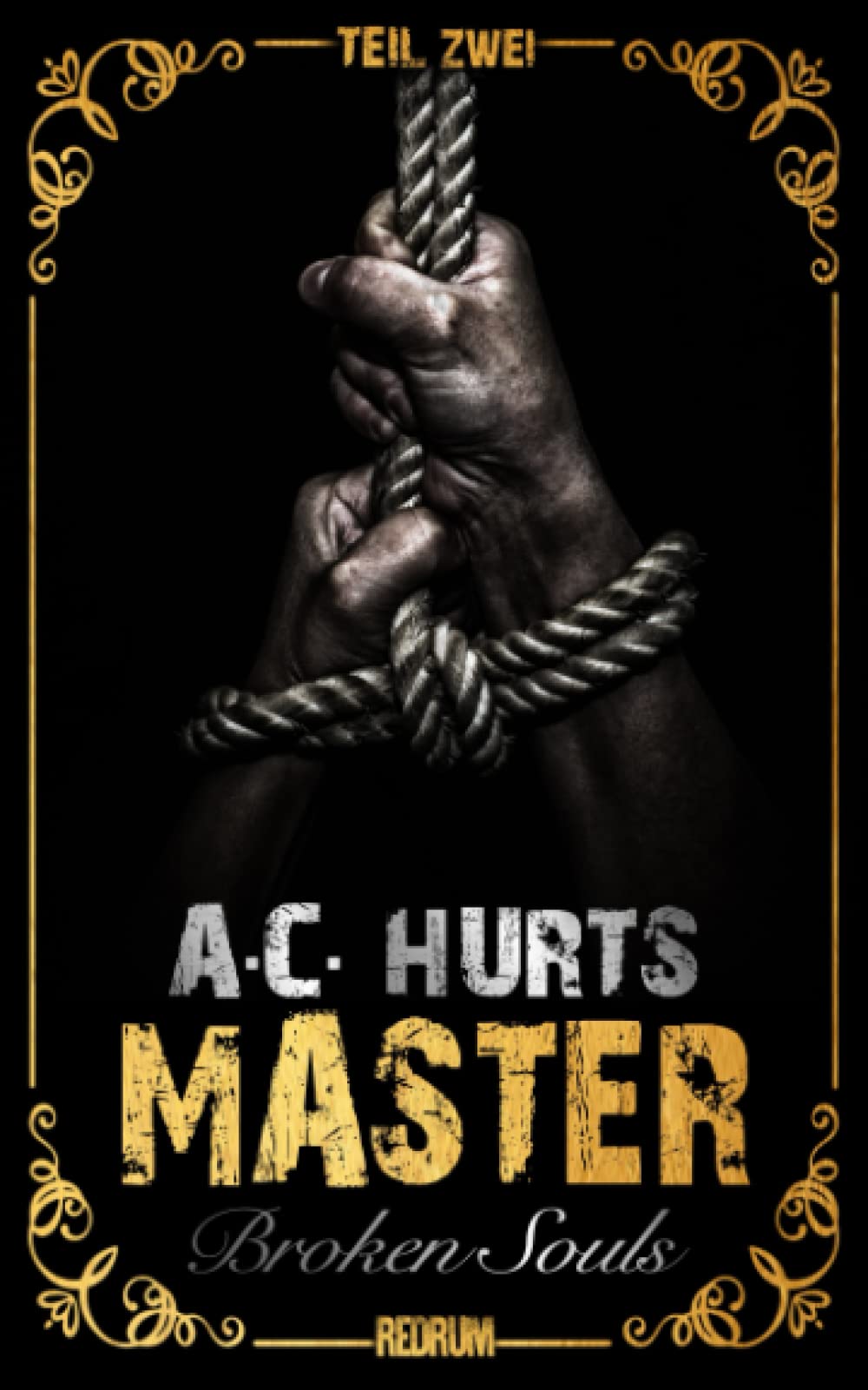 Product Image: Master: Broken Souls (MASTER by Alegra Cassano, Band 2)