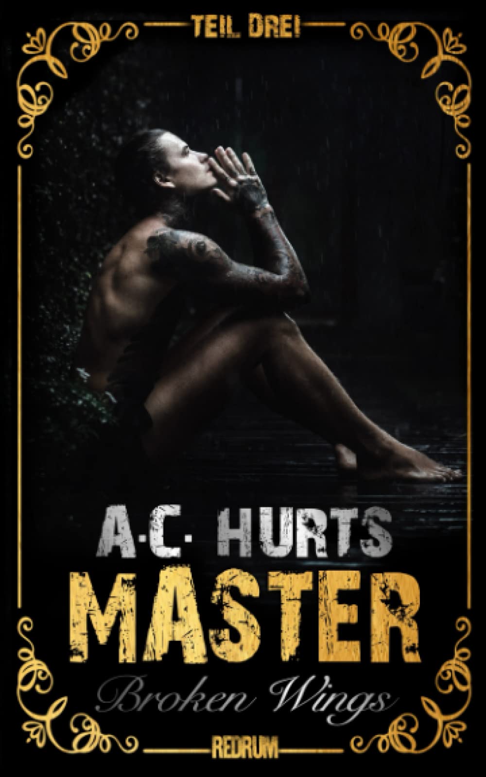 Produktbild: Master: Broken Wings (MASTER by Alegra Cassano, Band 3)