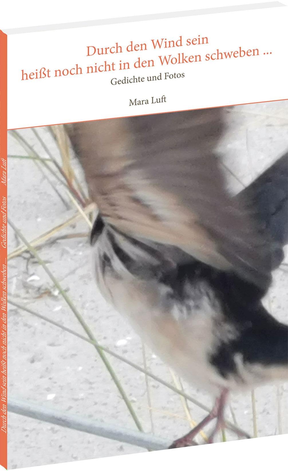 Durch den Wind sein heißt noch nicht in den Wolken schweben ... Contemporary literature