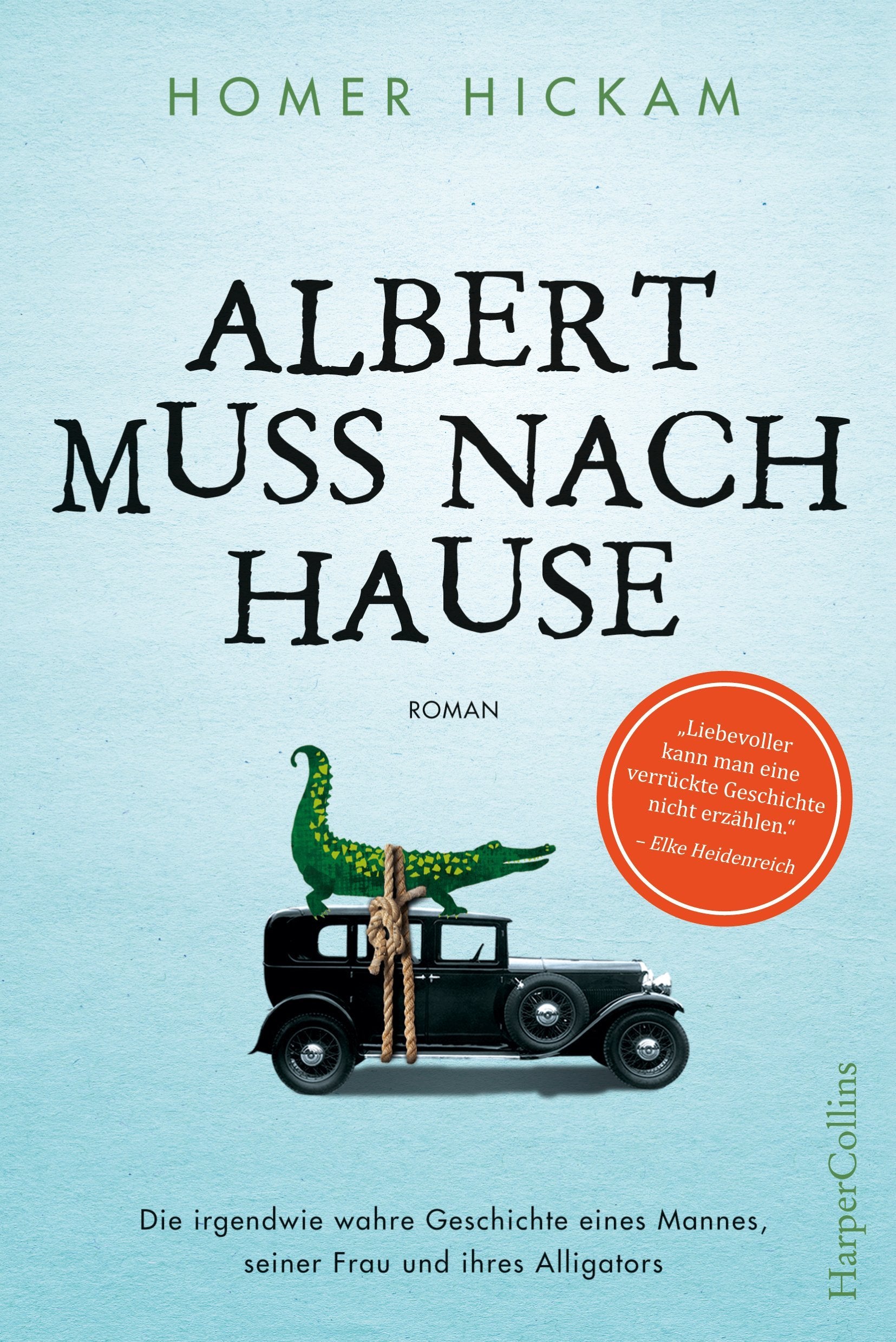 Albert muss nach Hause Contemporary literature Books
