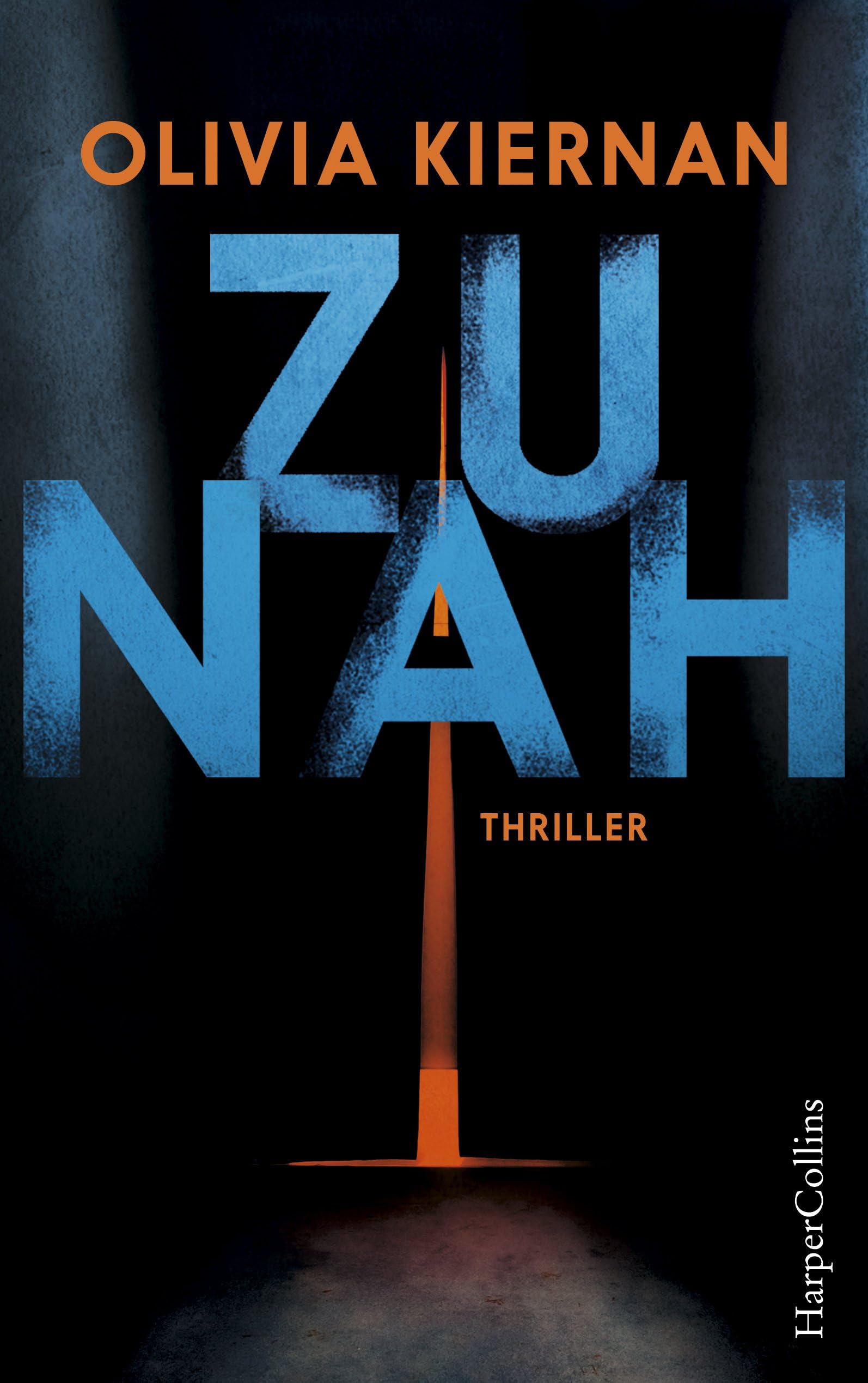 Zu nah Contemporary literature Books