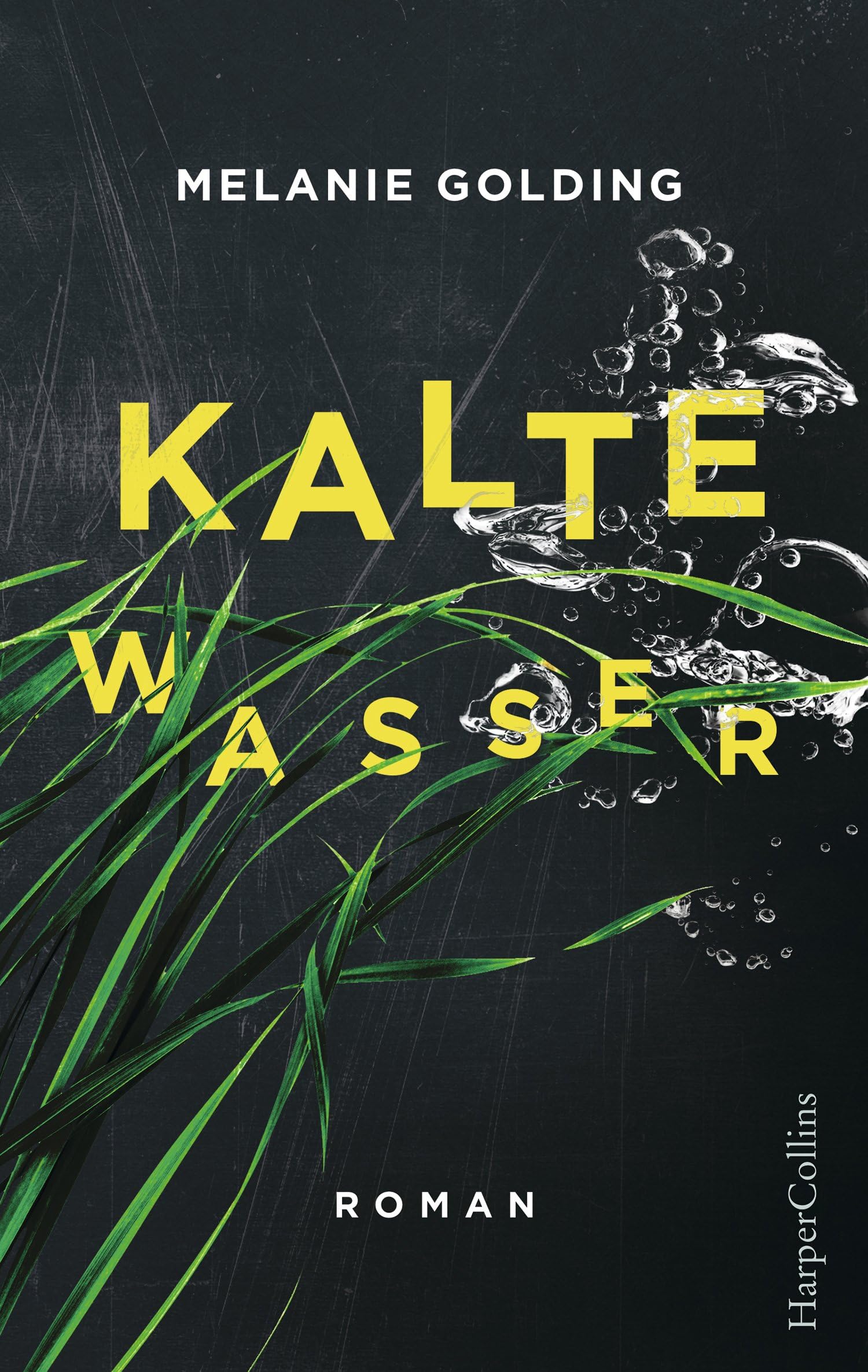 Kalte Wasser Contemporary literature Books