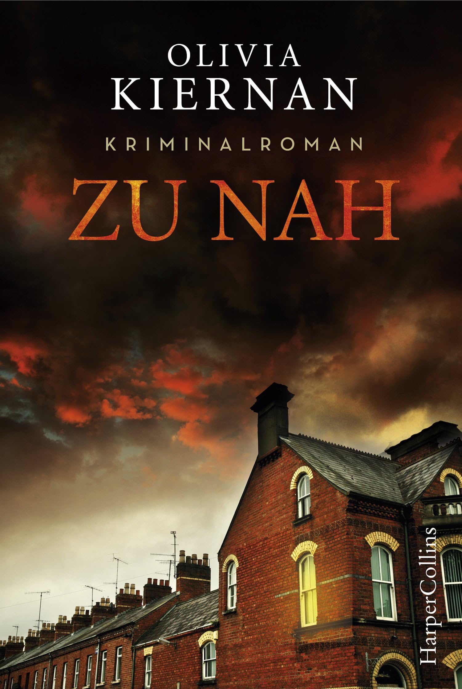 Zu nah Contemporary literature Books