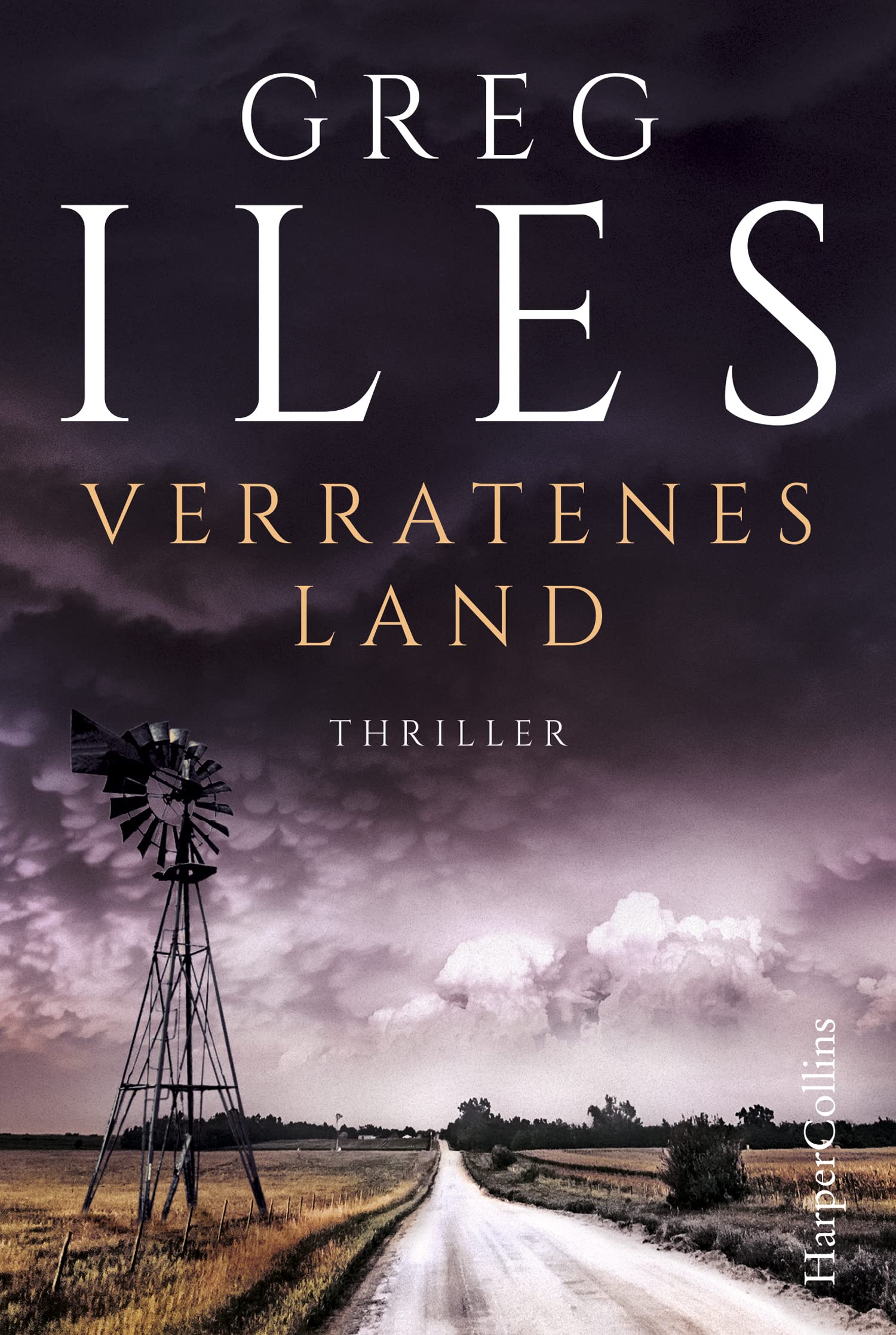 Verratenes Land Contemporary literature Books